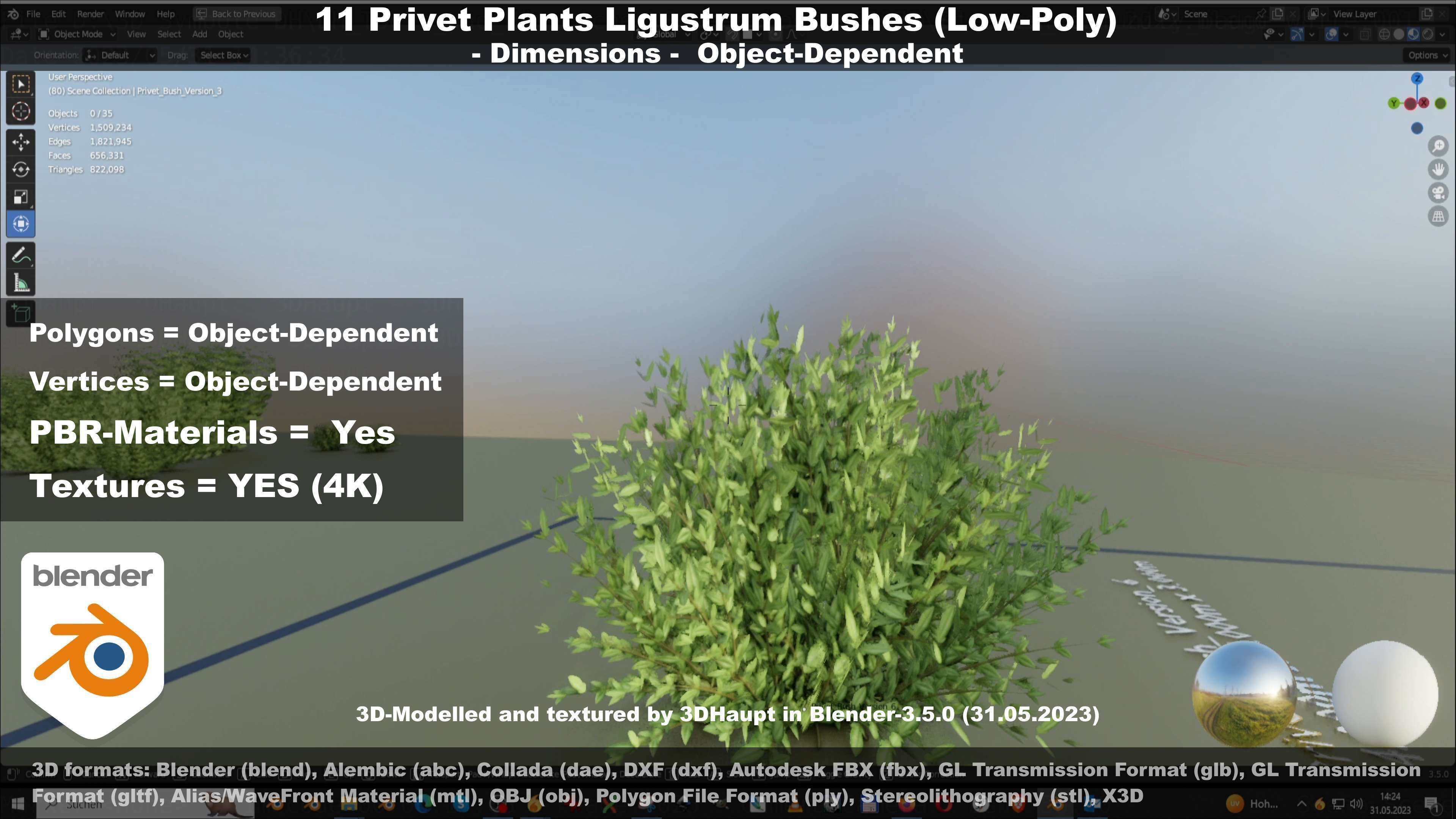 11 Privet Plants Ligustrum Low-poly 3D model_100