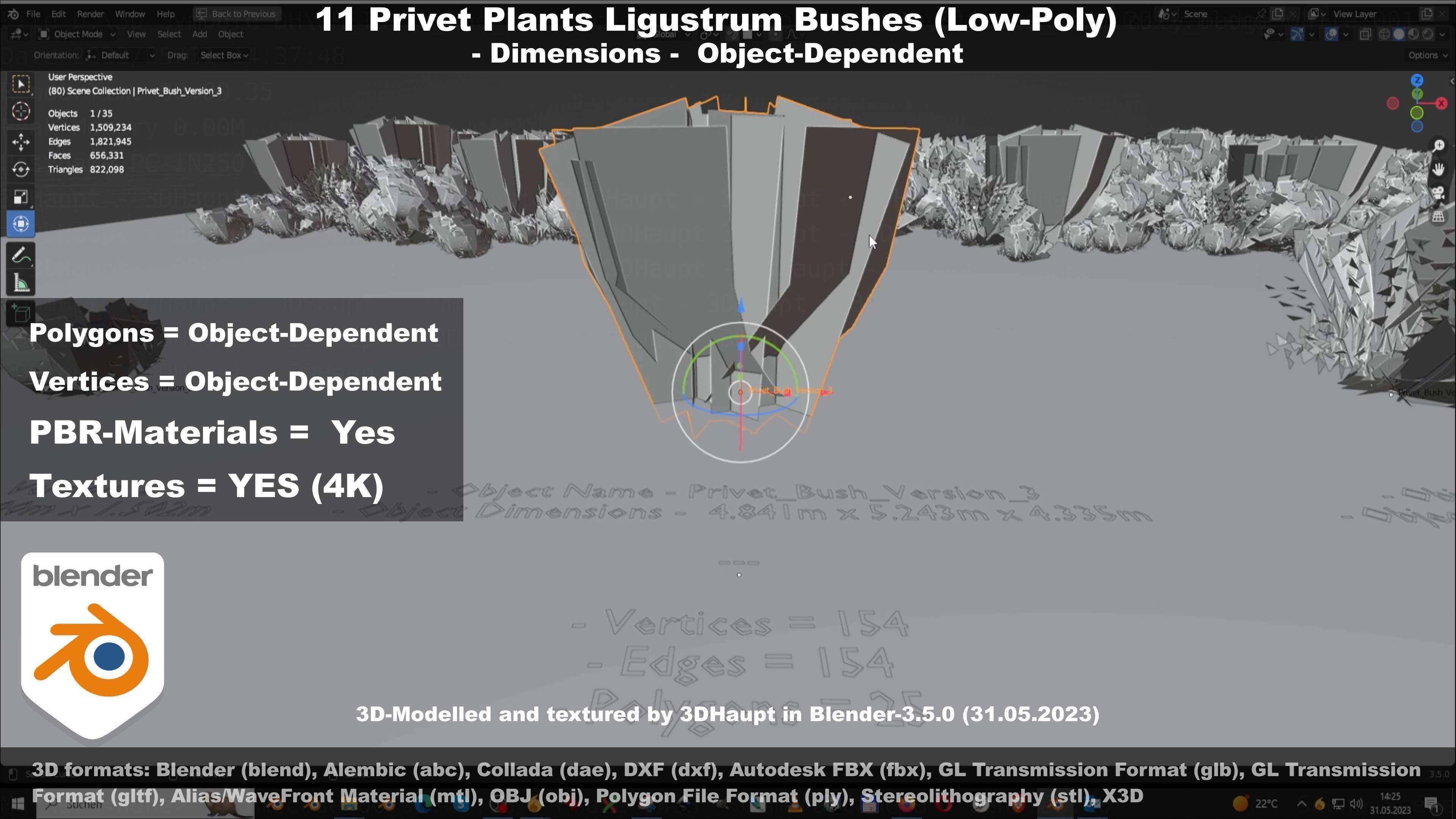 11 Privet Plants Ligustrum Low-poly 3D model_33