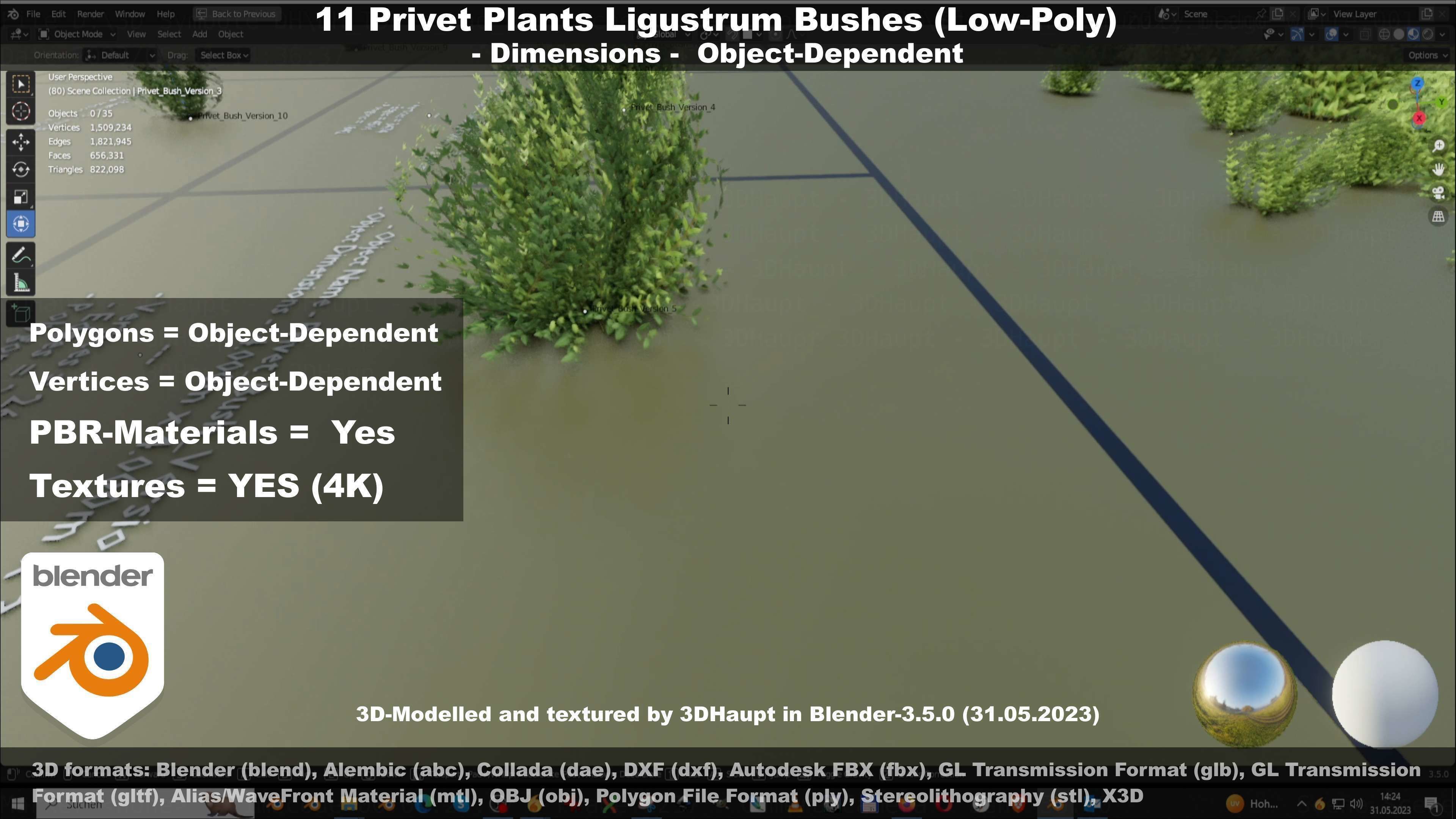 11 Privet Plants Ligustrum Low-poly 3D model_87