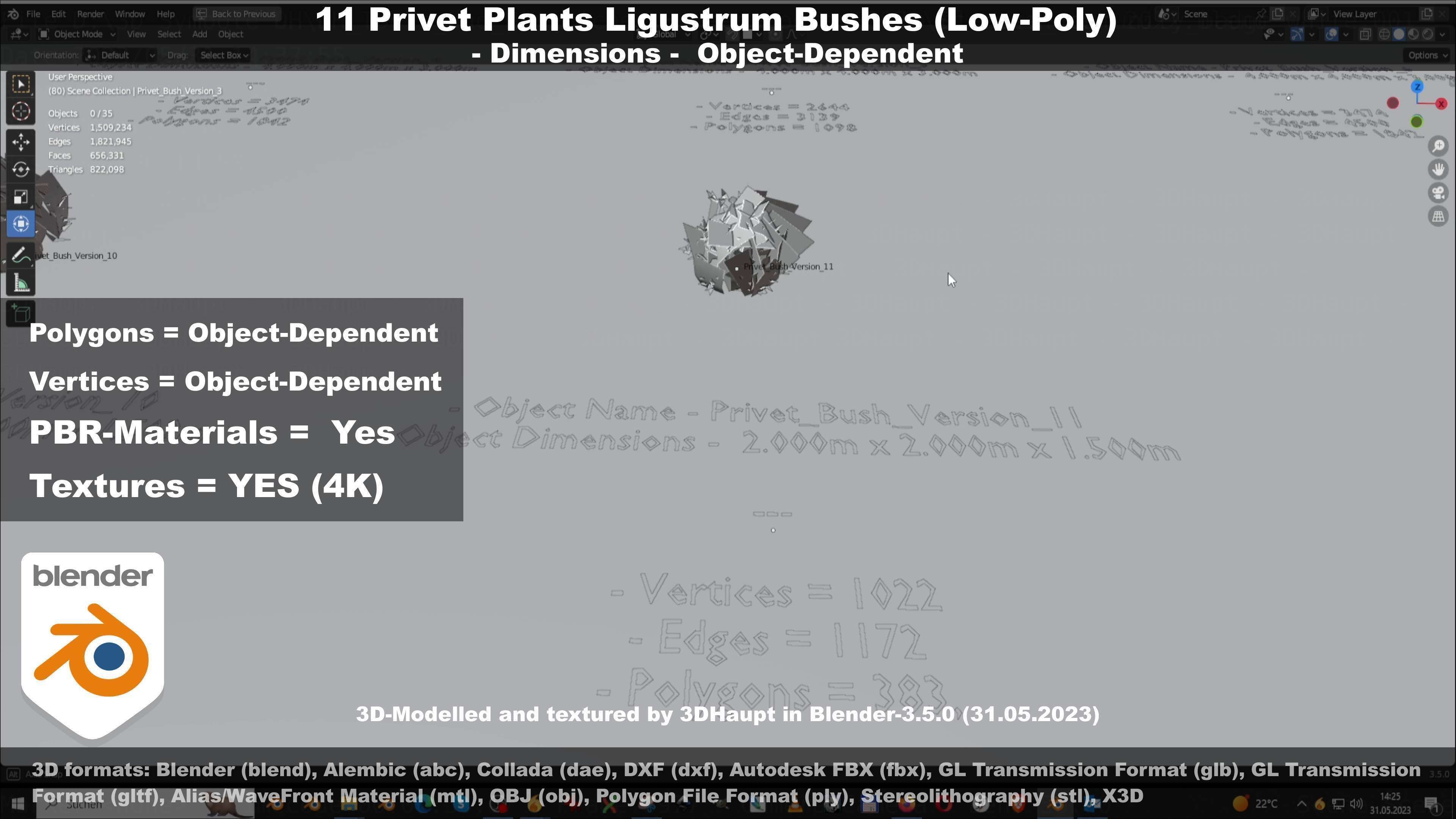 11 Privet Plants Ligustrum Low-poly 3D model_75