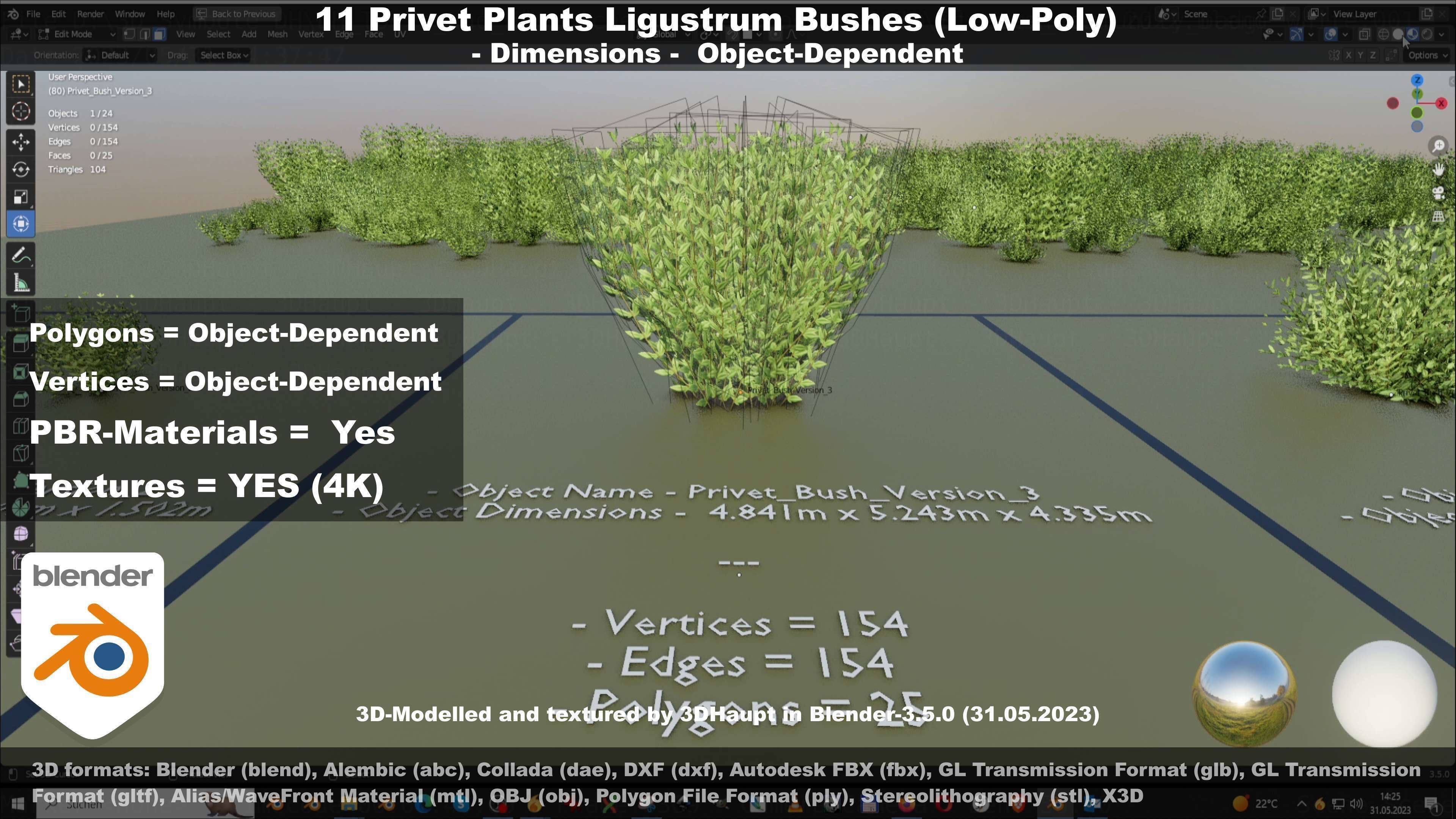 11 Privet Plants Ligustrum Low-poly 3D model_54