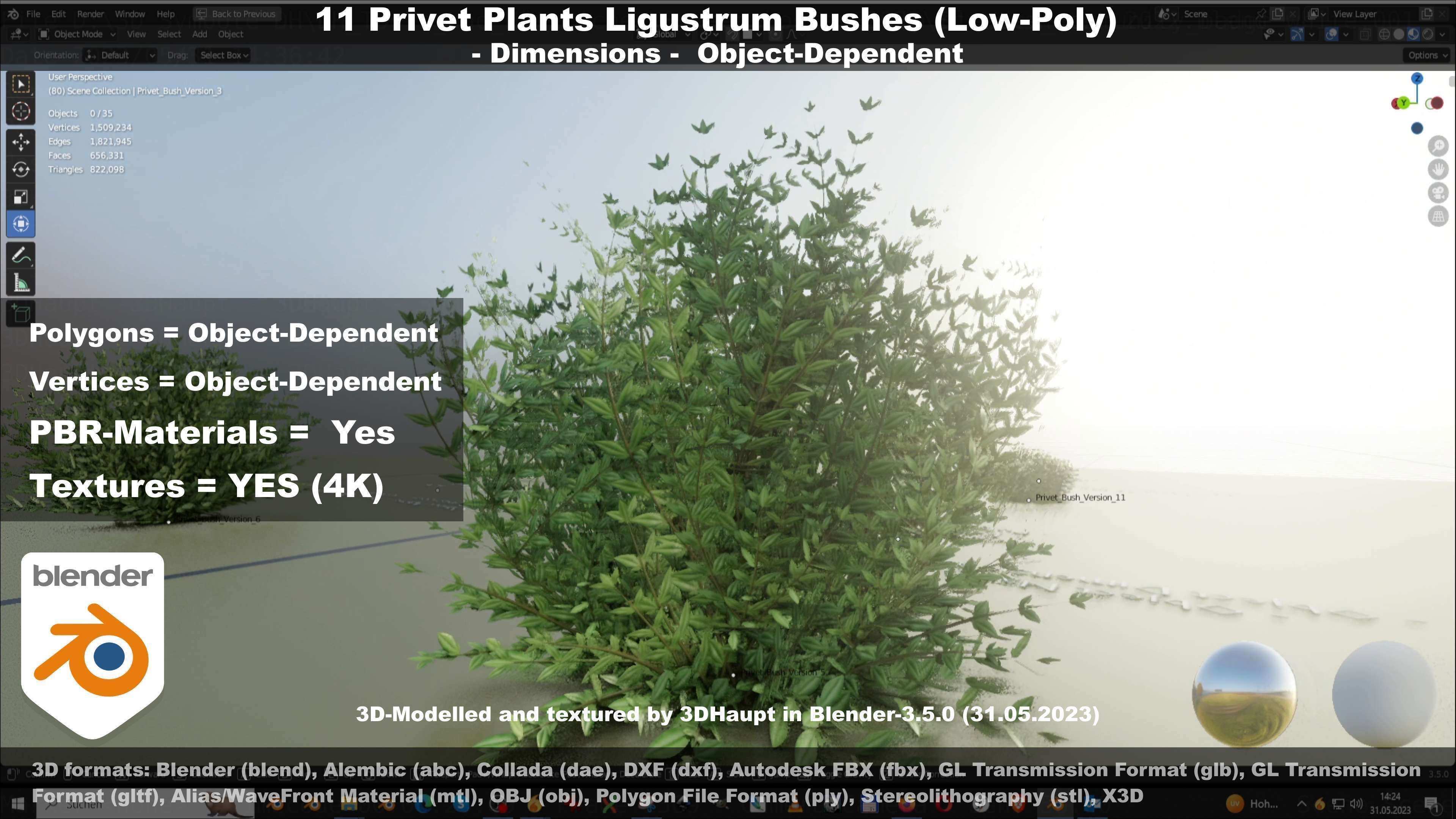 11 Privet Plants Ligustrum Low-poly 3D model_114