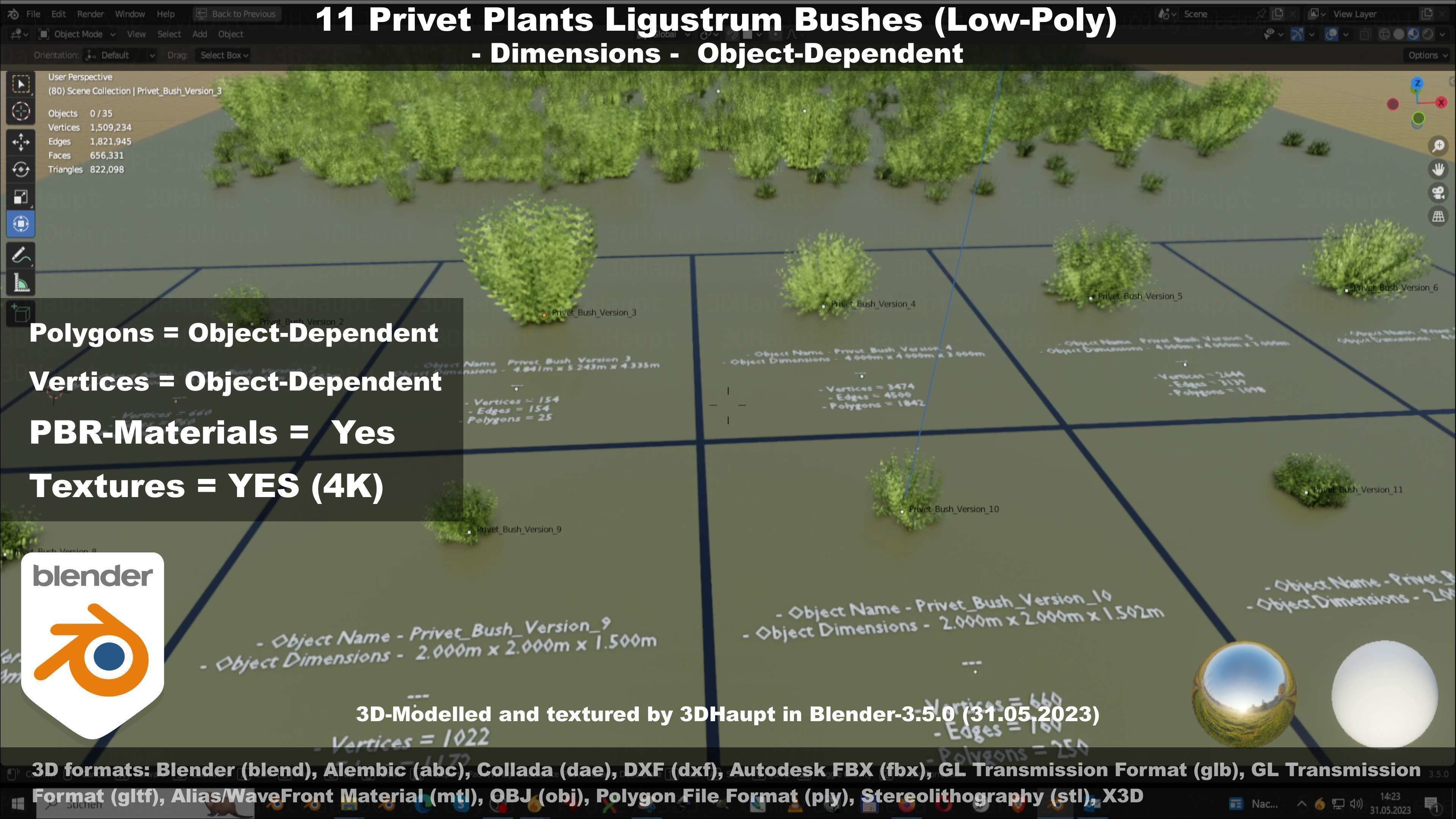 11 Privet Plants Ligustrum Low-poly 3D model_97