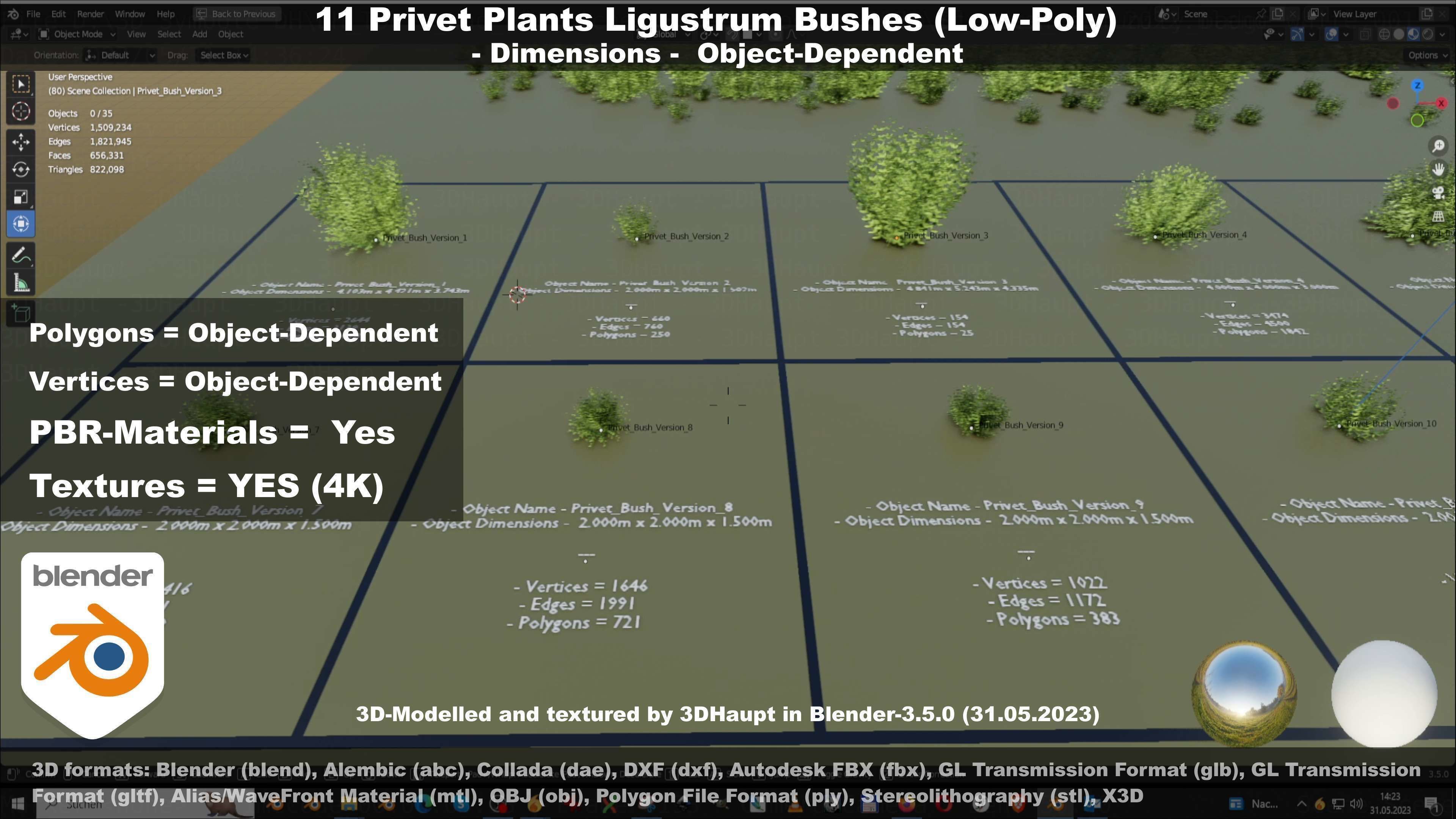 11 Privet Plants Ligustrum Low-poly 3D model_99