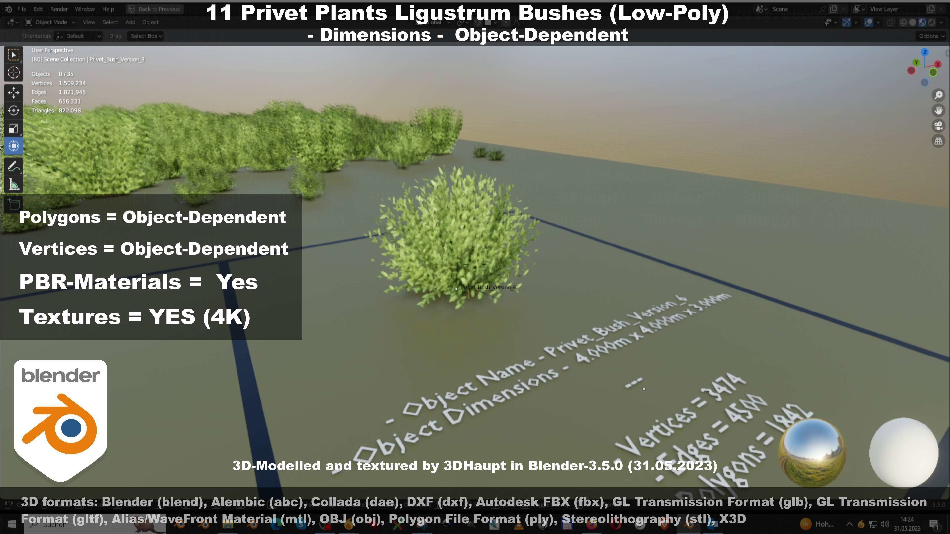 11 Privet Plants Ligustrum Low-poly 3D model_41