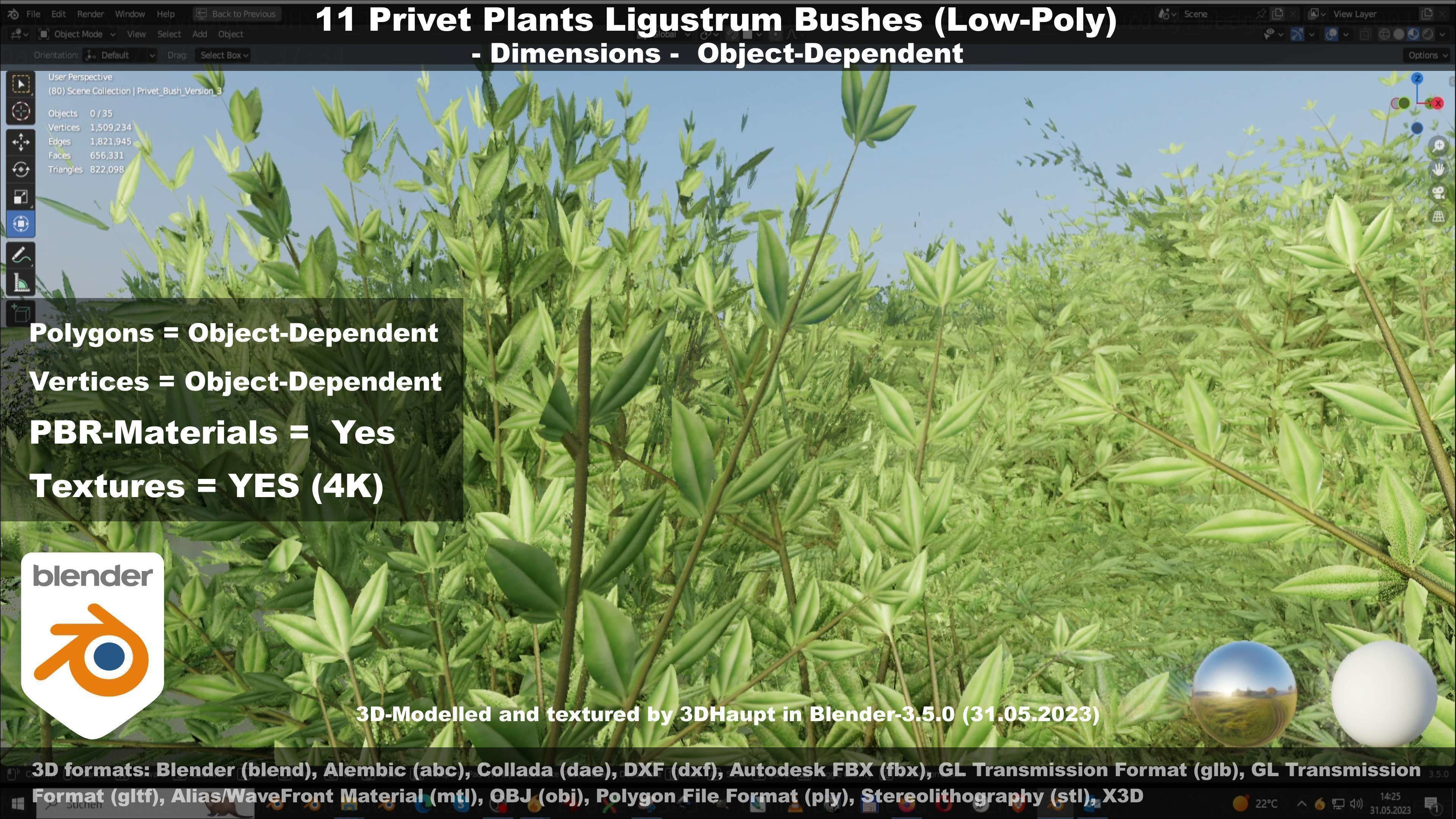 11 Privet Plants Ligustrum Low-poly 3D model_70