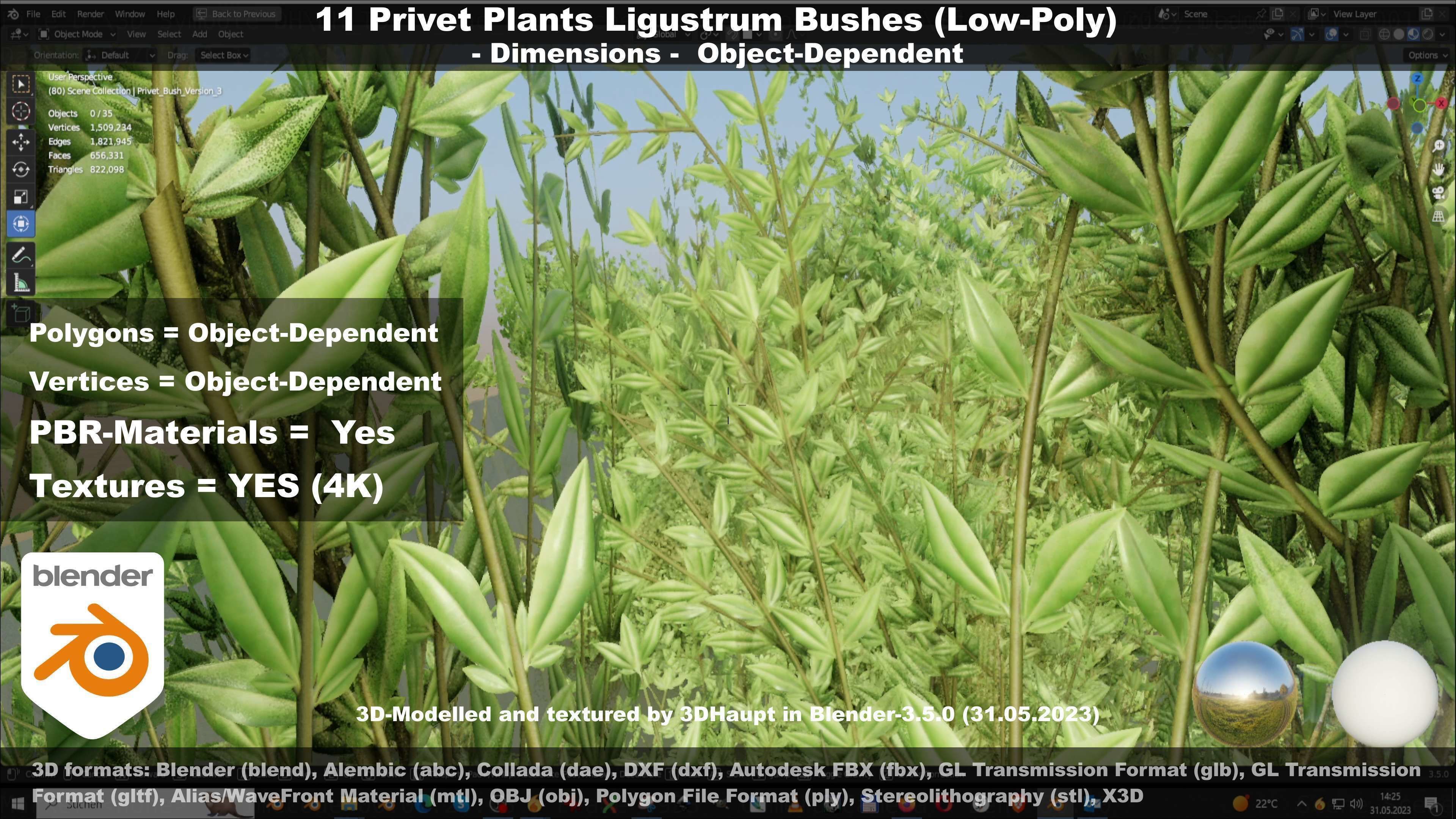 11 Privet Plants Ligustrum Low-poly 3D model_133