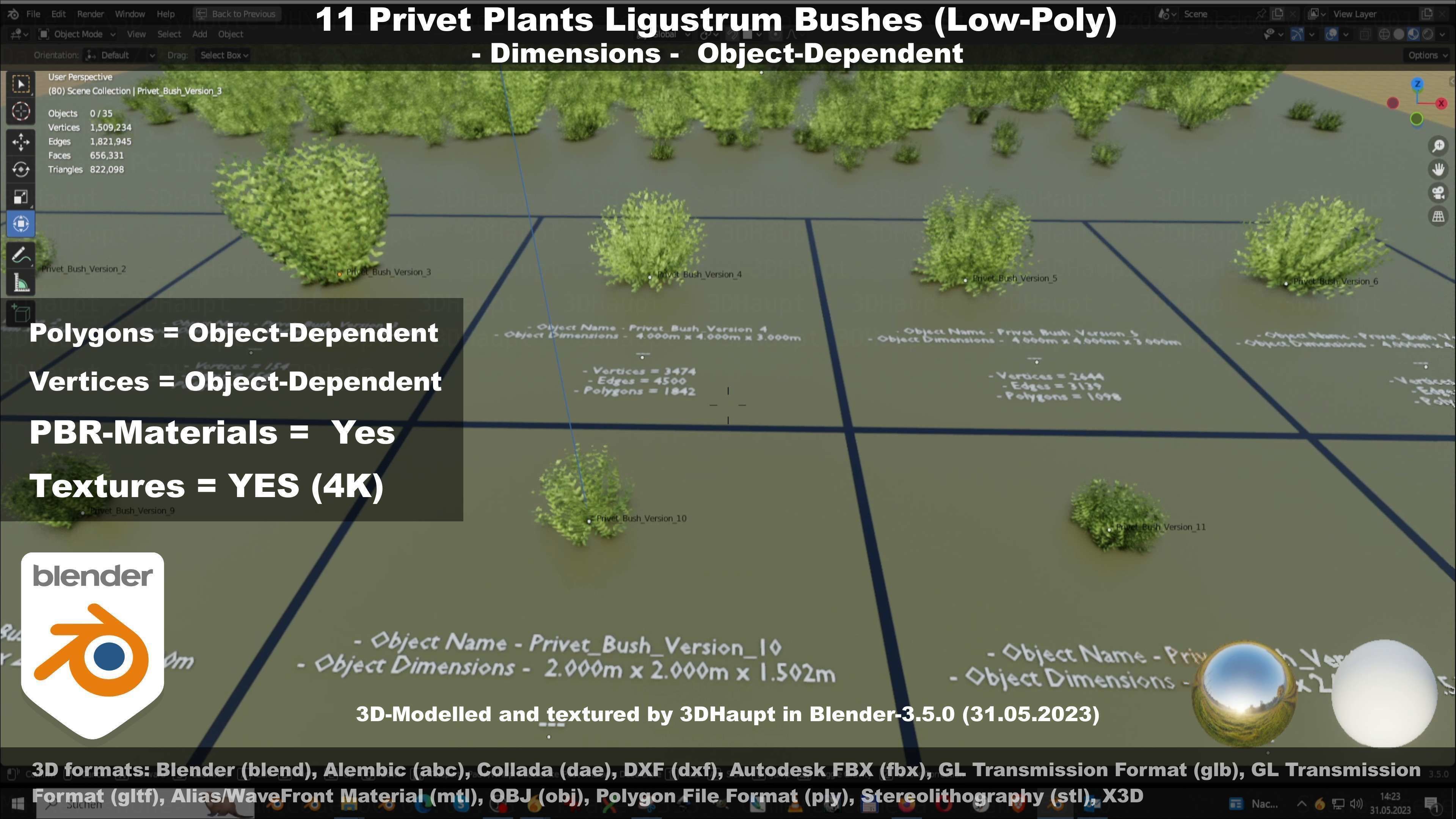 11 Privet Plants Ligustrum Low-poly 3D model_39