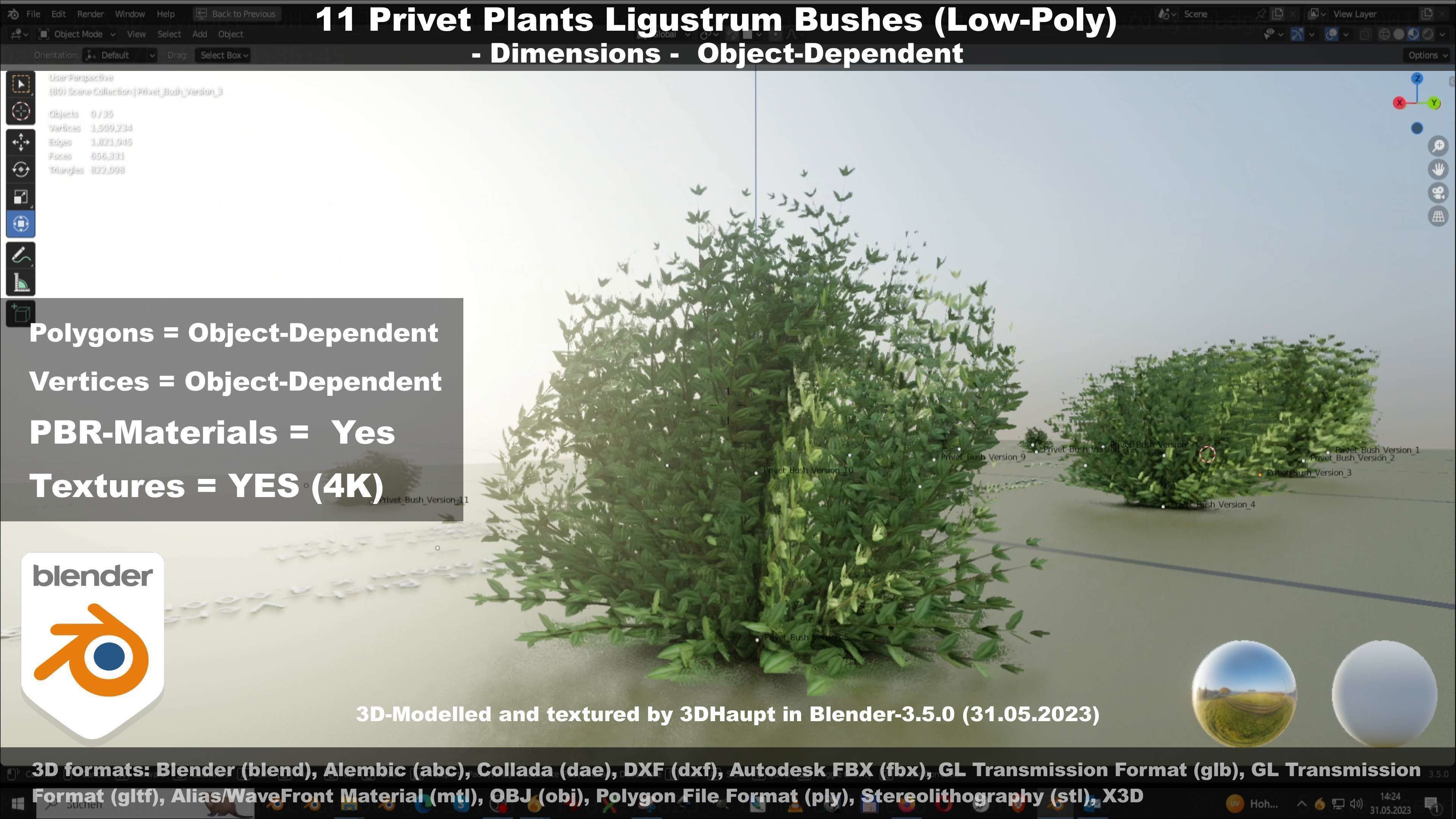 11 Privet Plants Ligustrum Low-poly 3D model_44