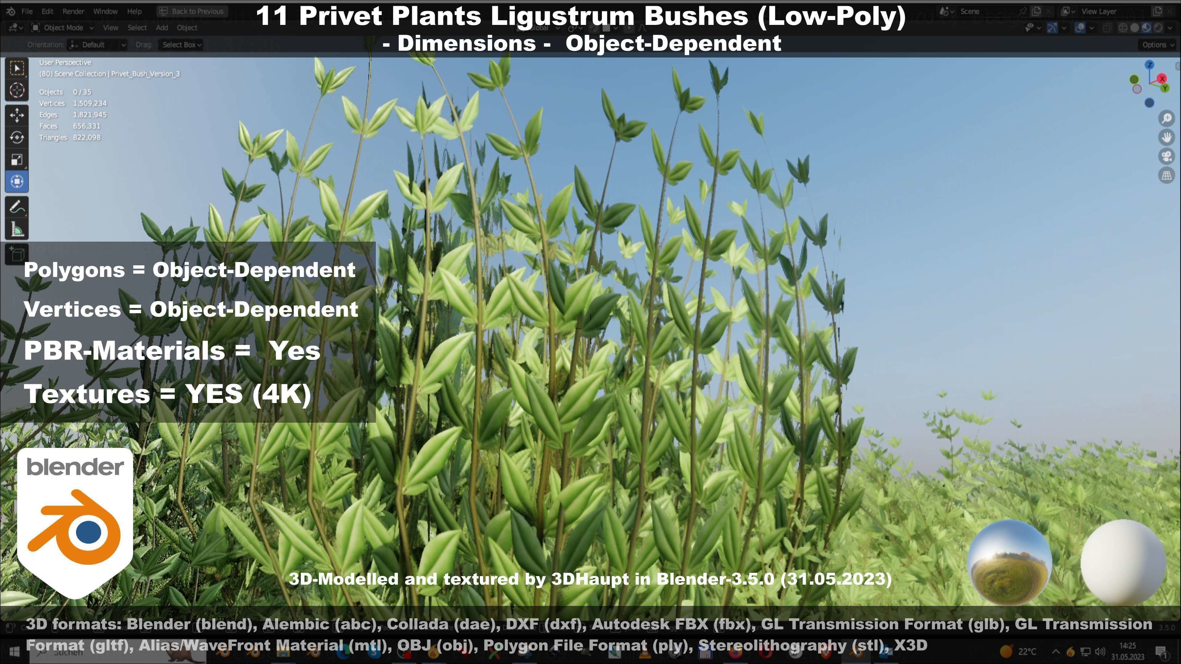 11 Privet Plants Ligustrum Low-poly 3D model_61