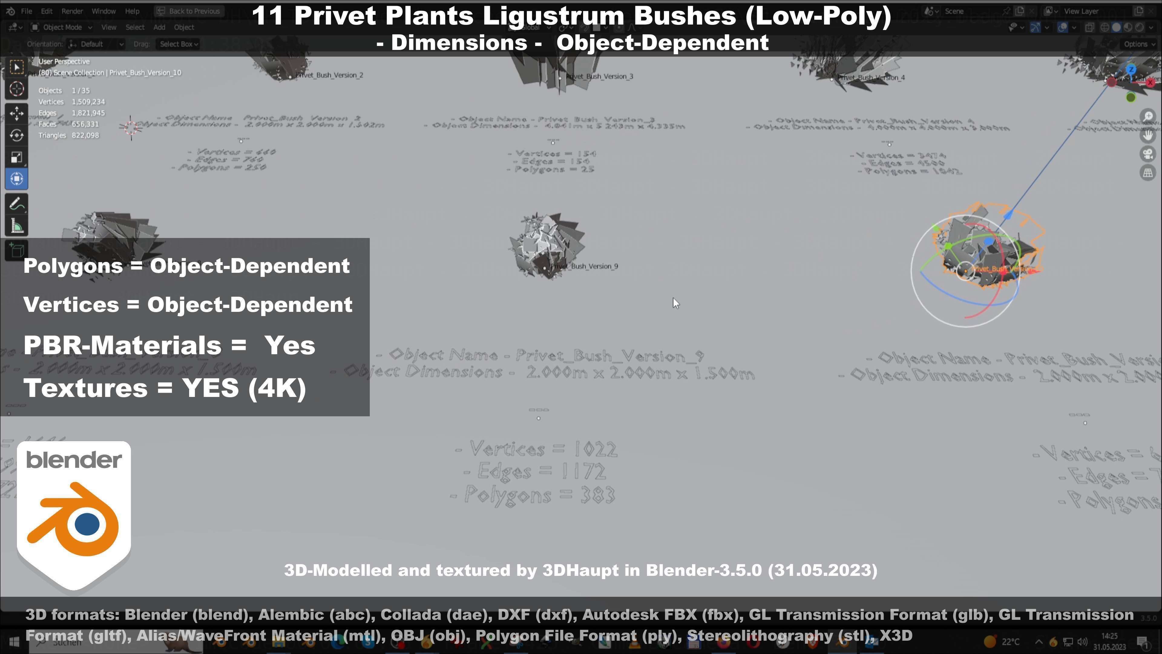 11 Privet Plants Ligustrum Low-poly 3D model_91