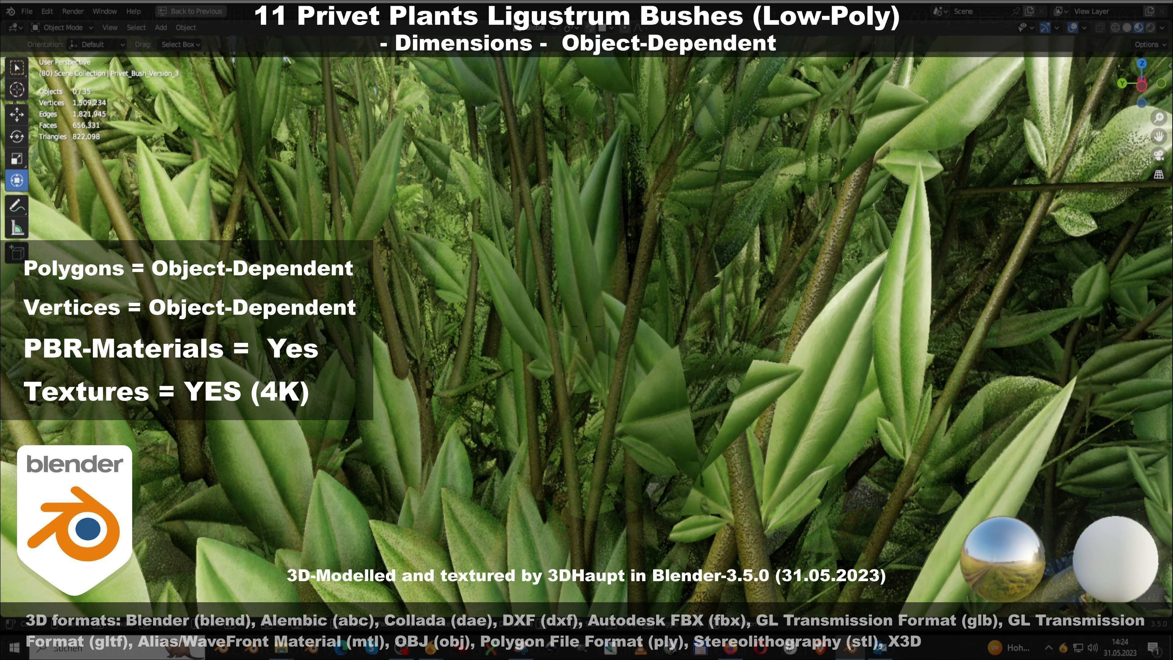 11 Privet Plants Ligustrum Low-poly 3D model_67