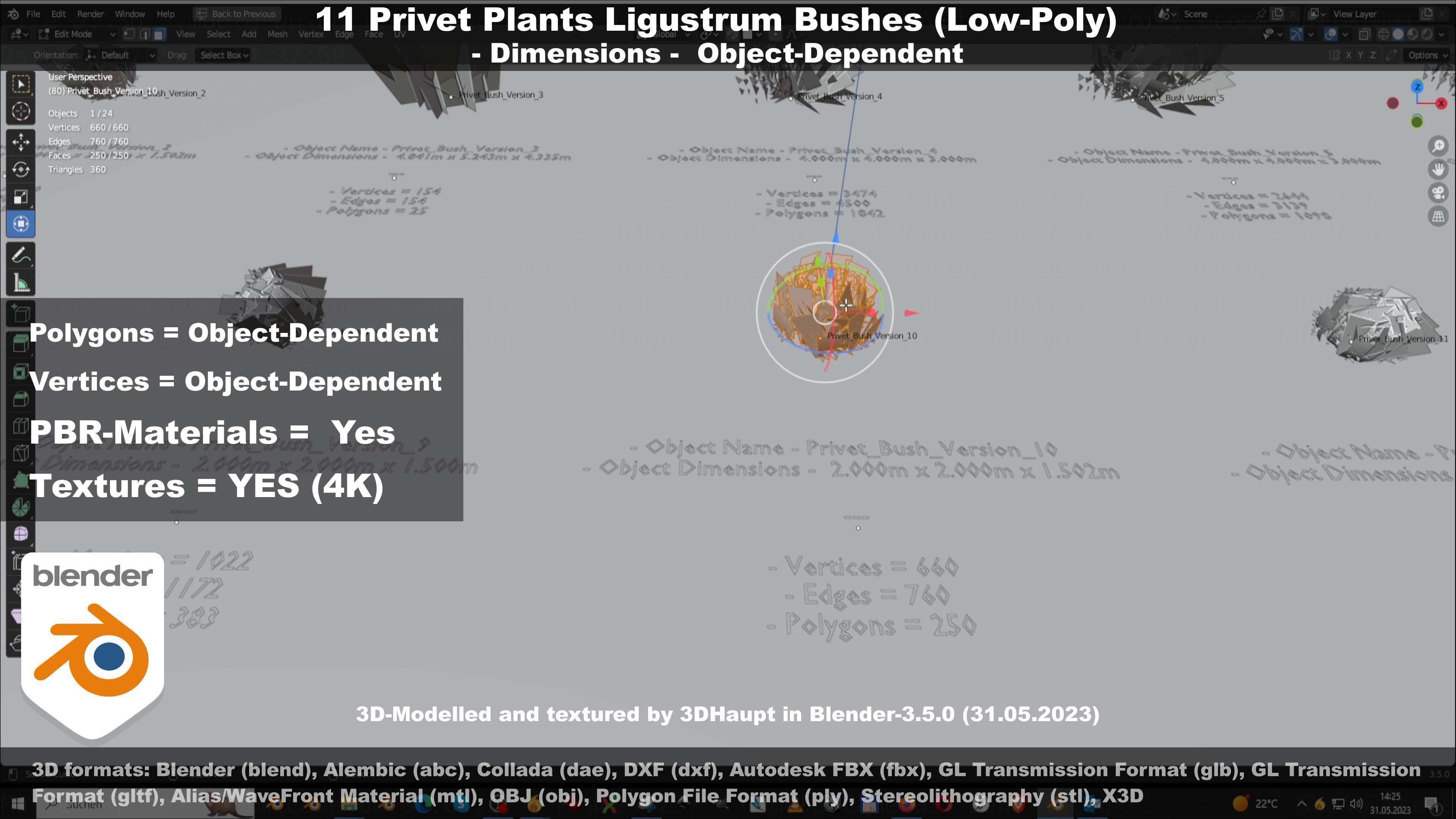 11 Privet Plants Ligustrum Low-poly 3D model_30