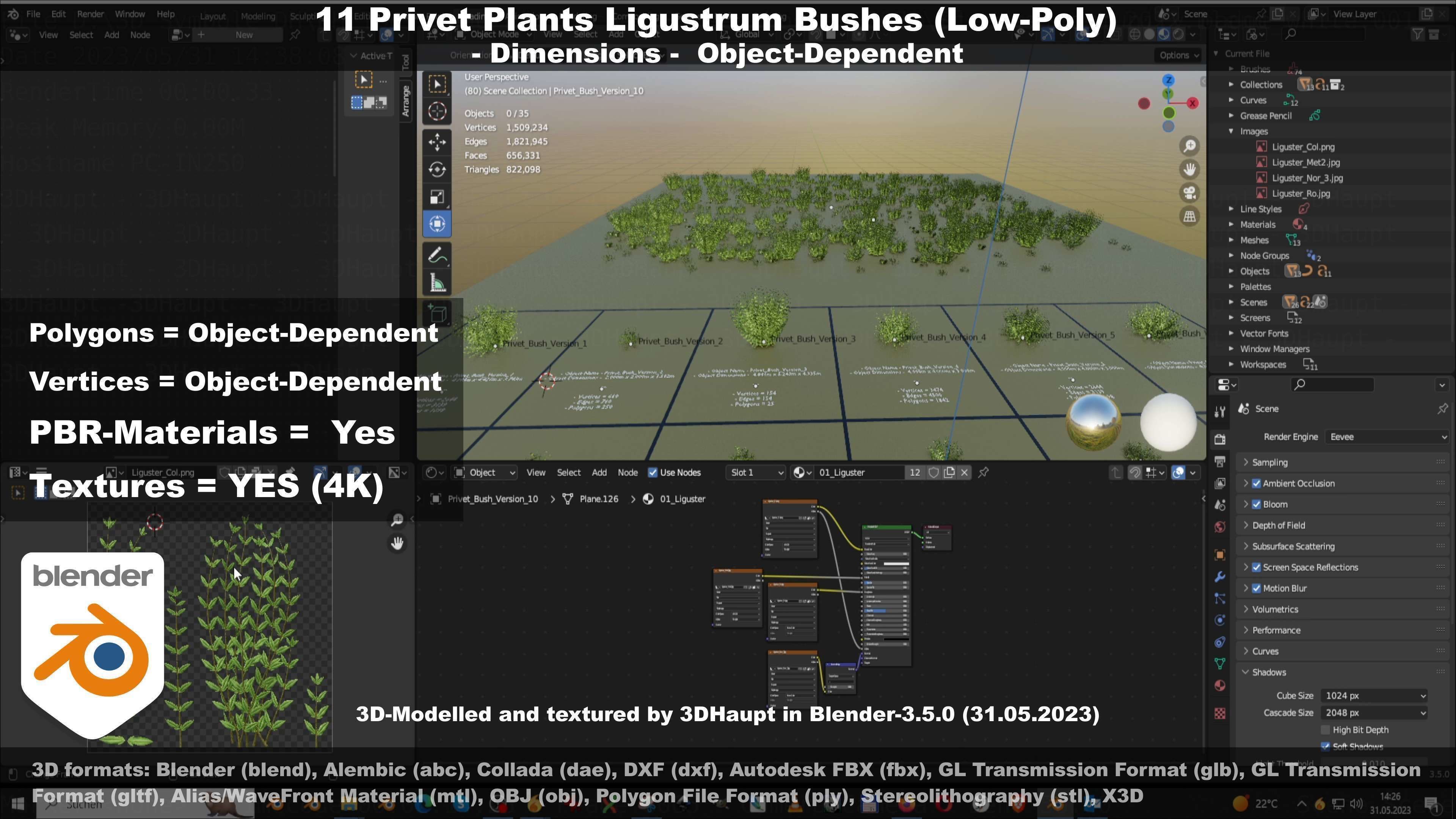 11 Privet Plants Ligustrum Low-poly 3D model_111
