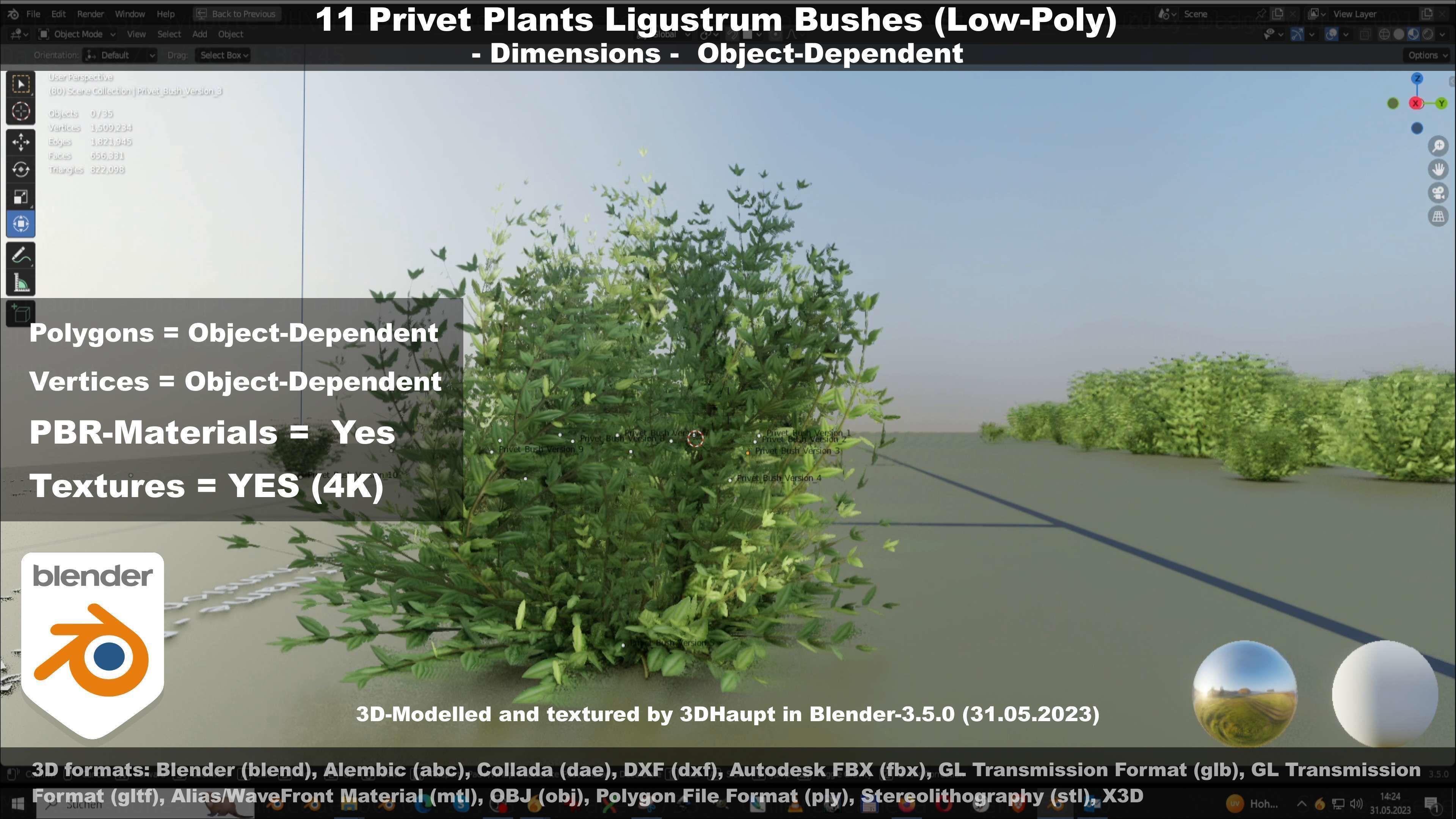 11 Privet Plants Ligustrum Low-poly 3D model_116