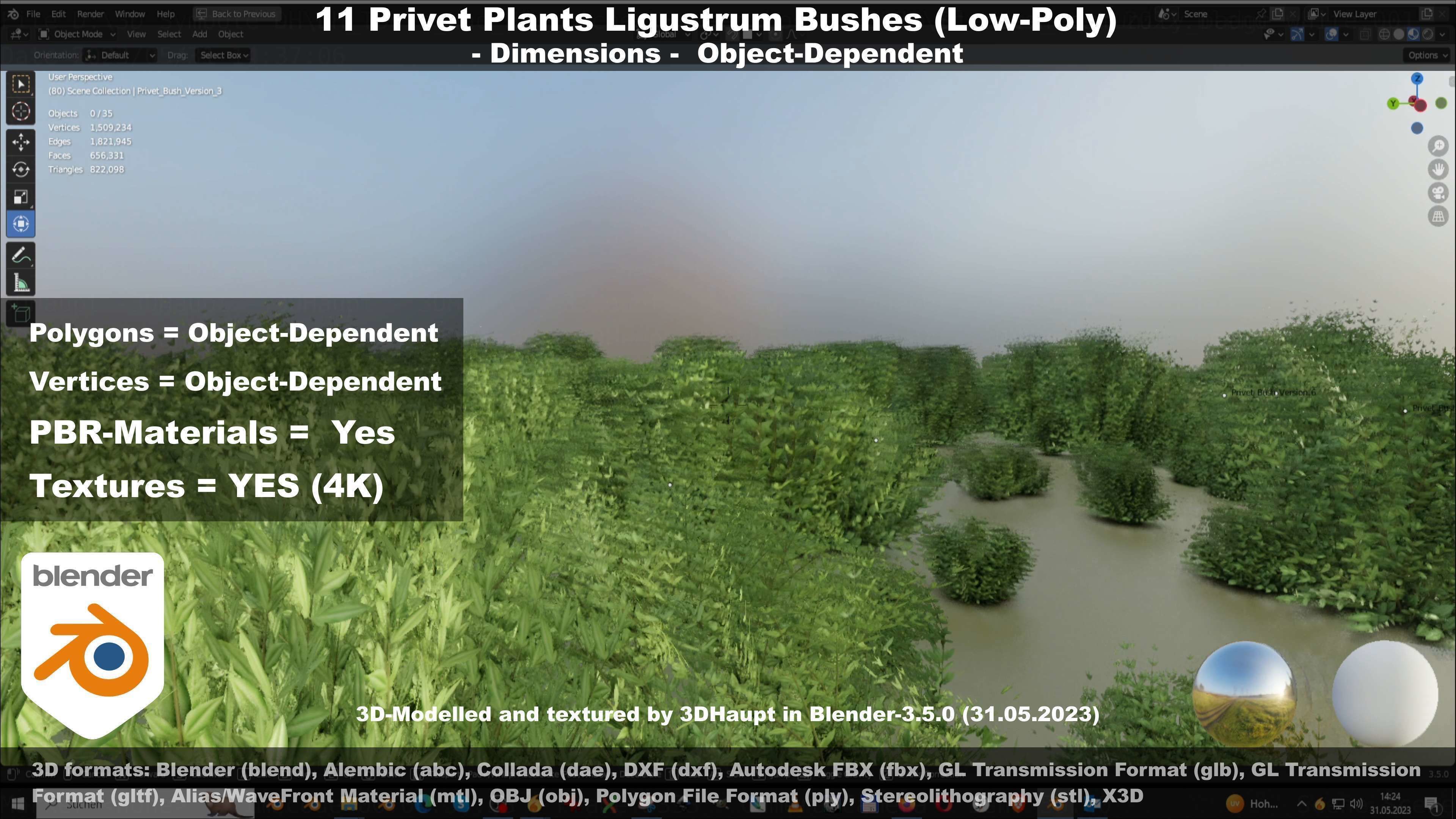 11 Privet Plants Ligustrum Low-poly 3D model_57