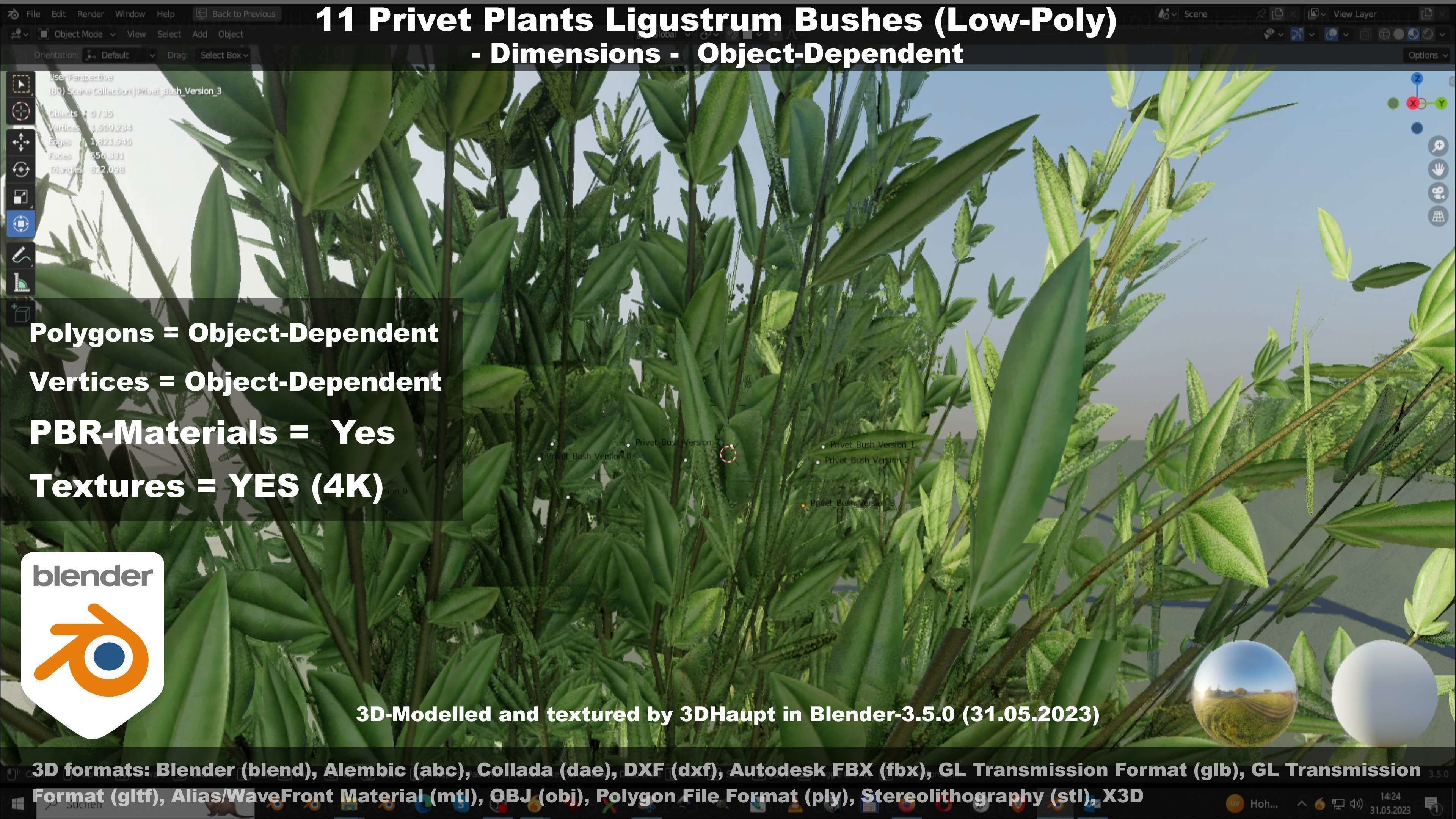 11 Privet Plants Ligustrum Low-poly 3D model_64