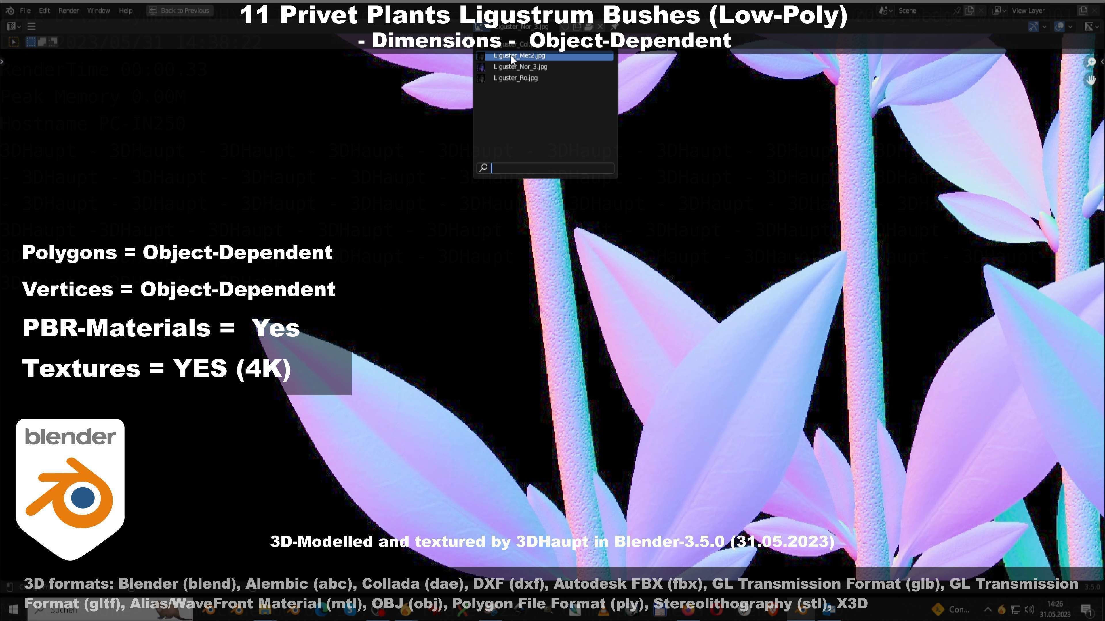 11 Privet Plants Ligustrum Low-poly 3D model_88
