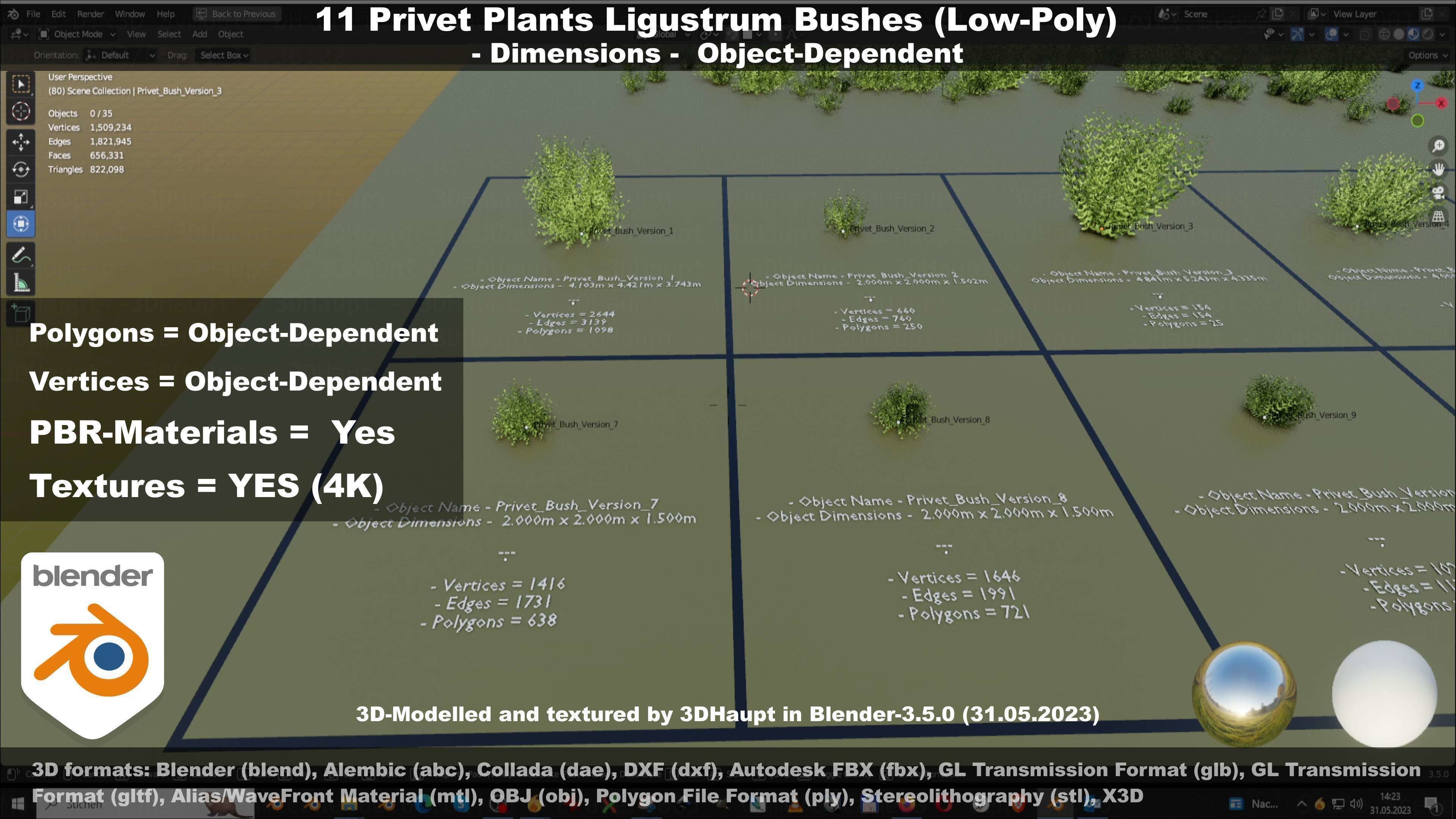11 Privet Plants Ligustrum Low-poly 3D model_113