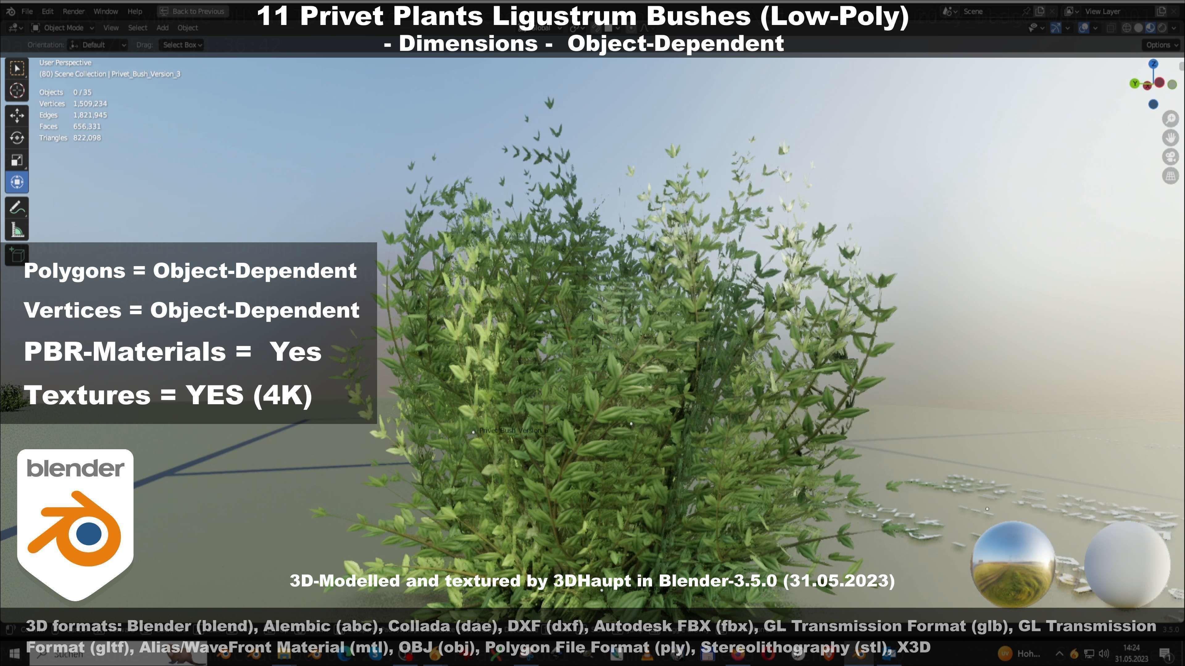 11 Privet Plants Ligustrum Low-poly 3D model_52