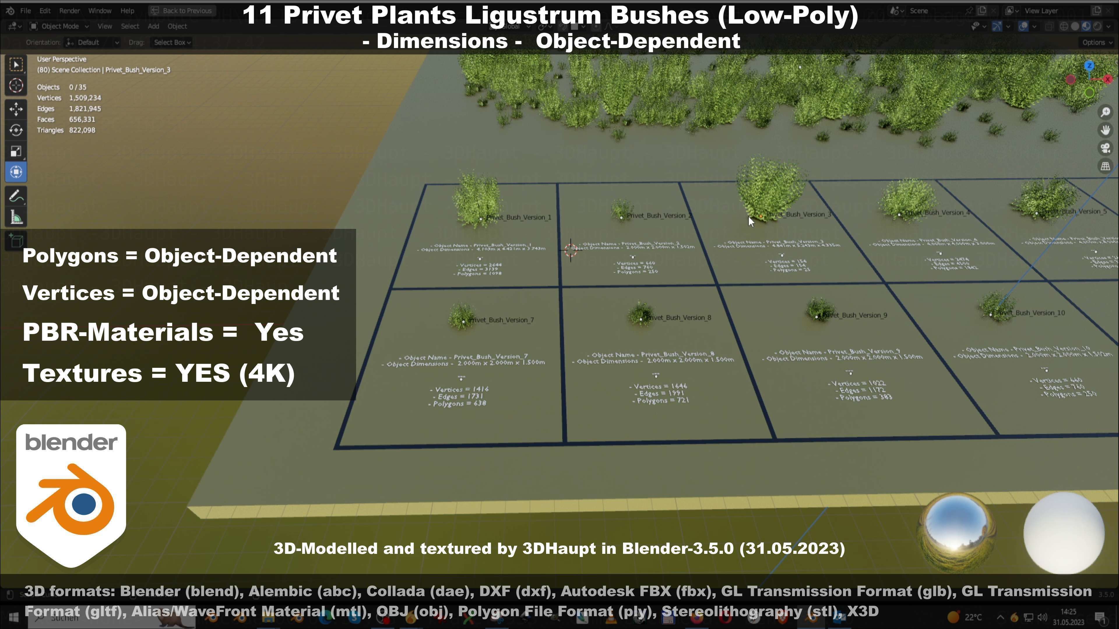 11 Privet Plants Ligustrum Low-poly 3D model_122