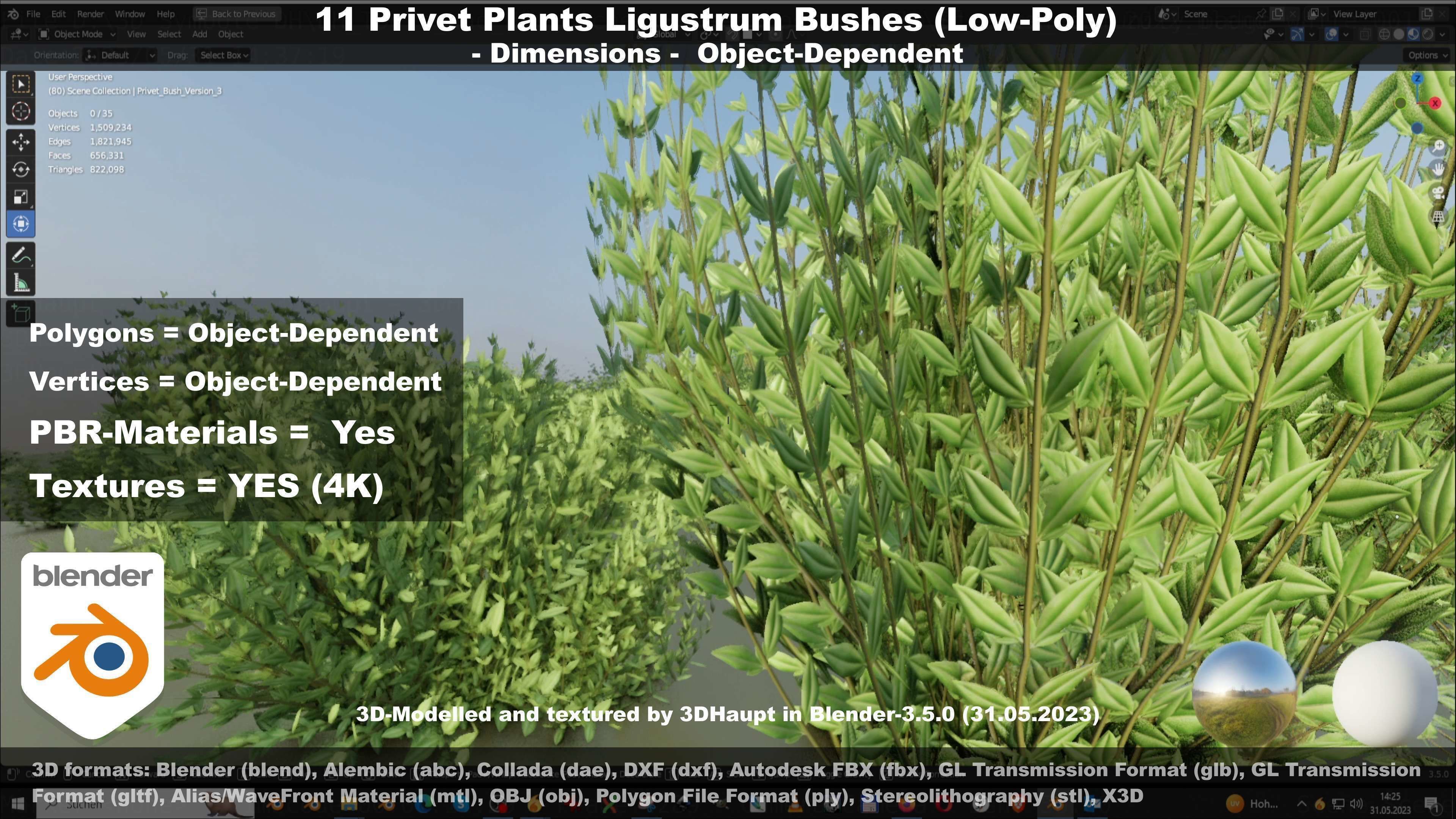 11 Privet Plants Ligustrum Low-poly 3D model_129