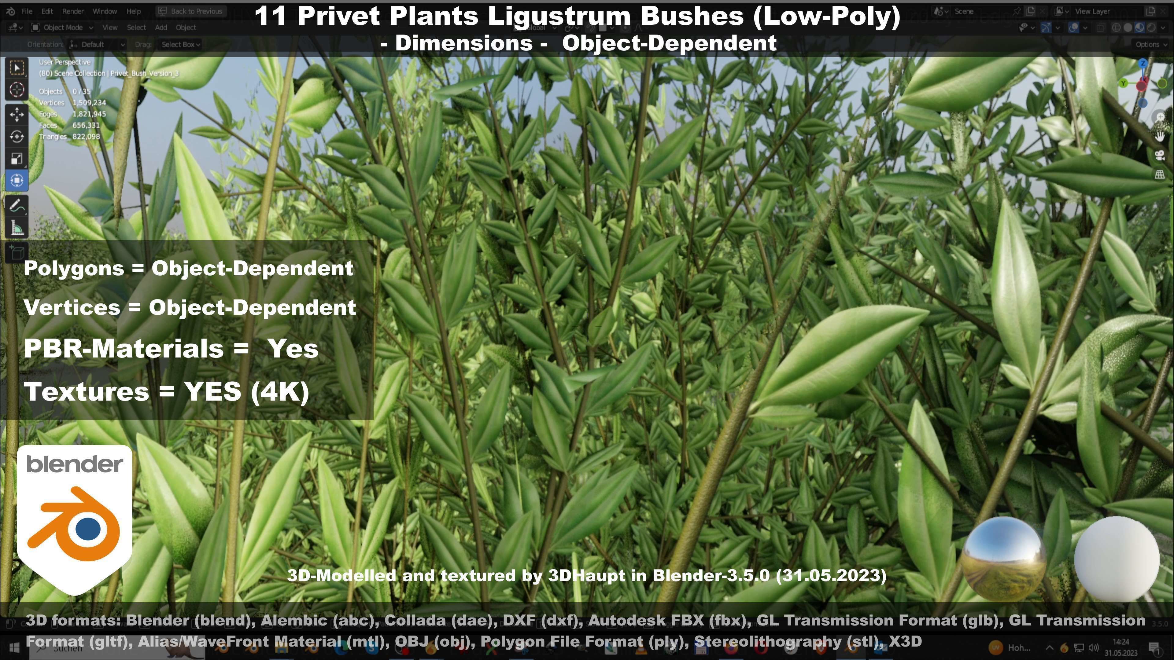 11 Privet Plants Ligustrum Low-poly 3D model_74