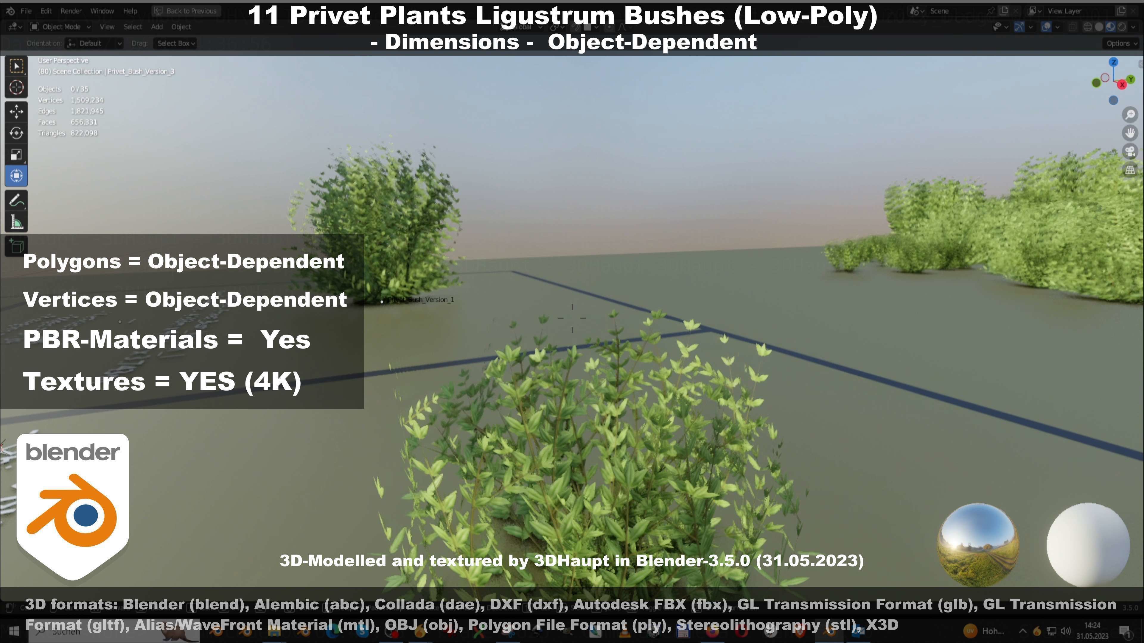 11 Privet Plants Ligustrum Low-poly 3D model_103