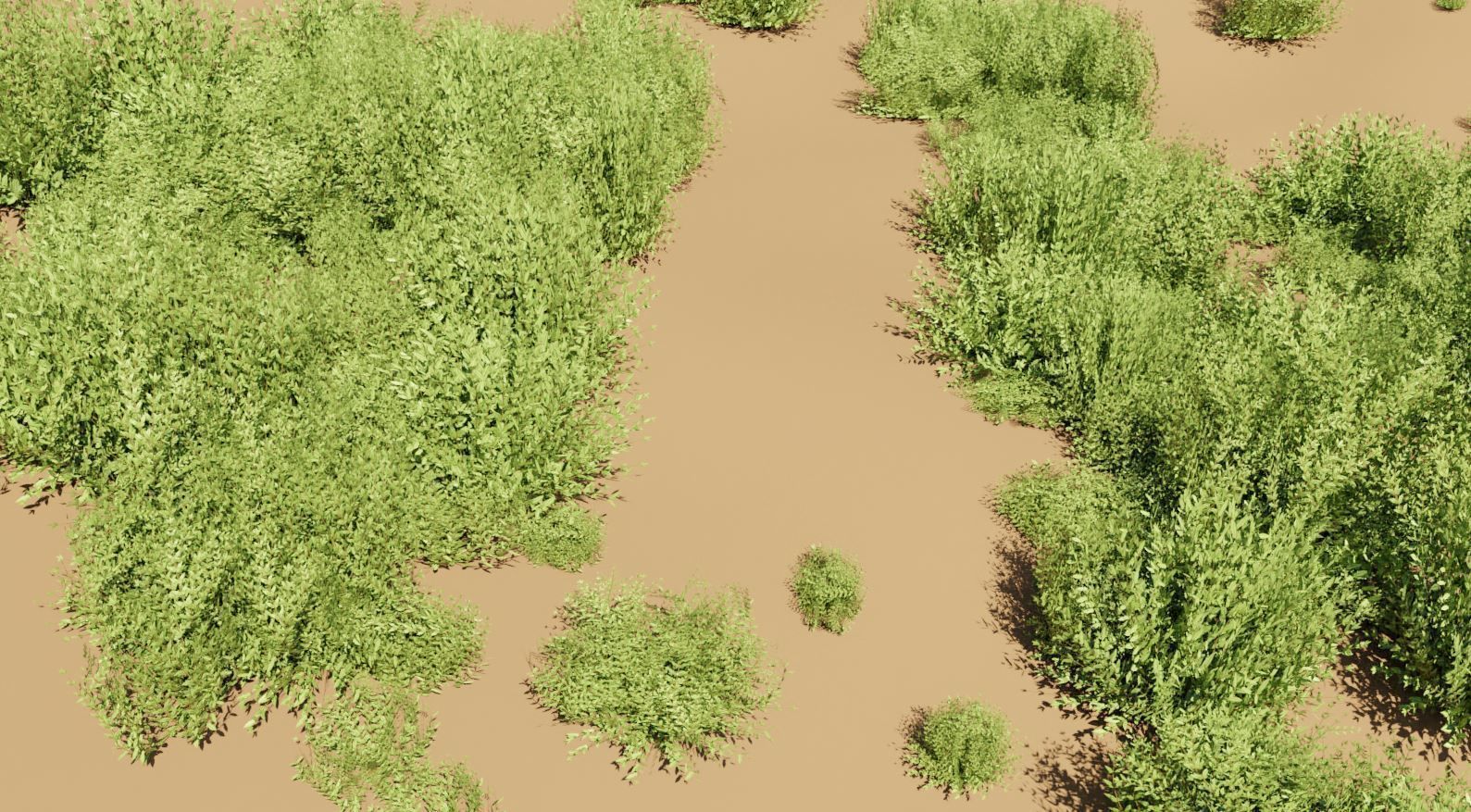 11 Privet Plants Ligustrum Low-poly 3D model_10