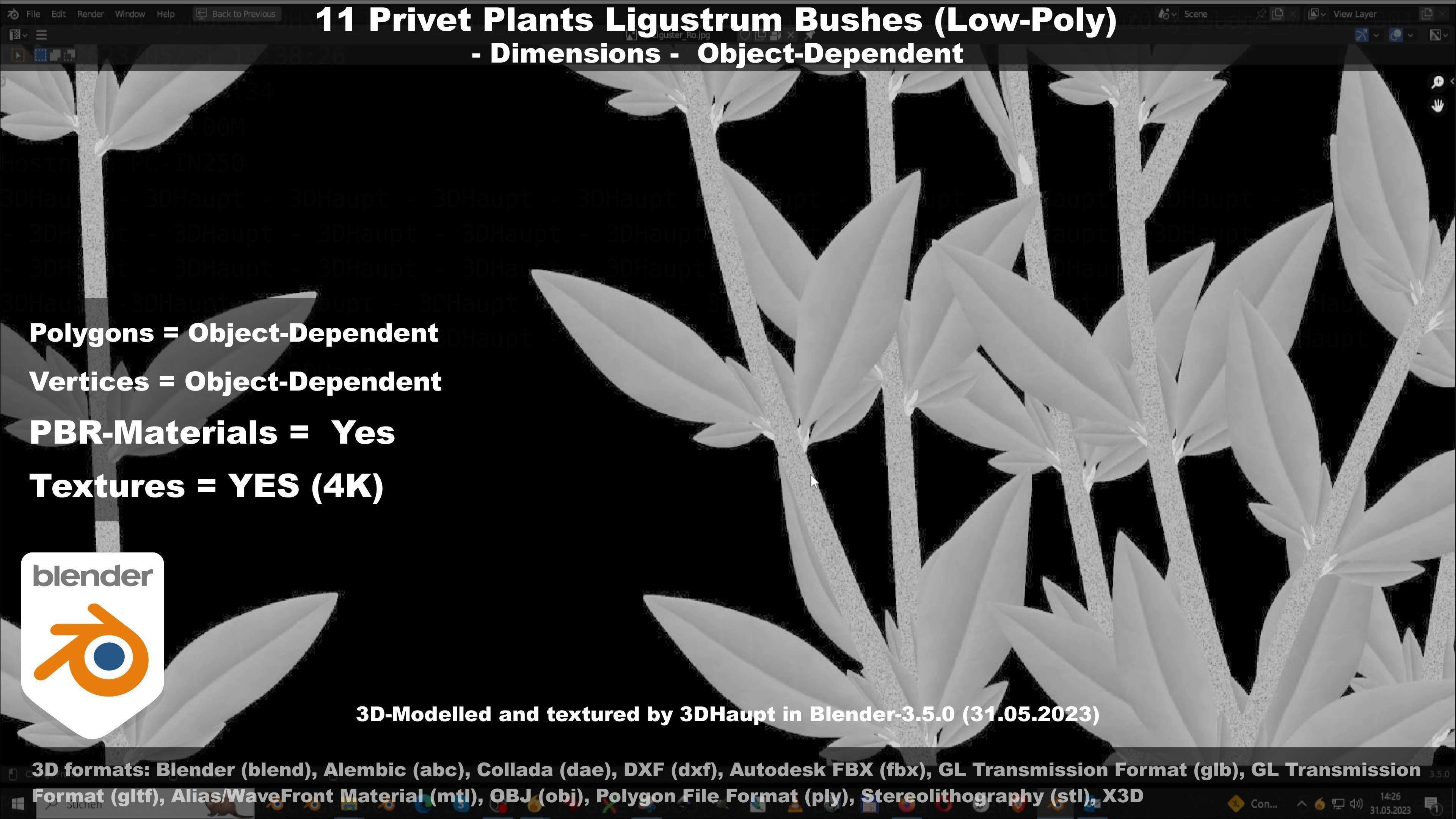 11 Privet Plants Ligustrum Low-poly 3D model_95