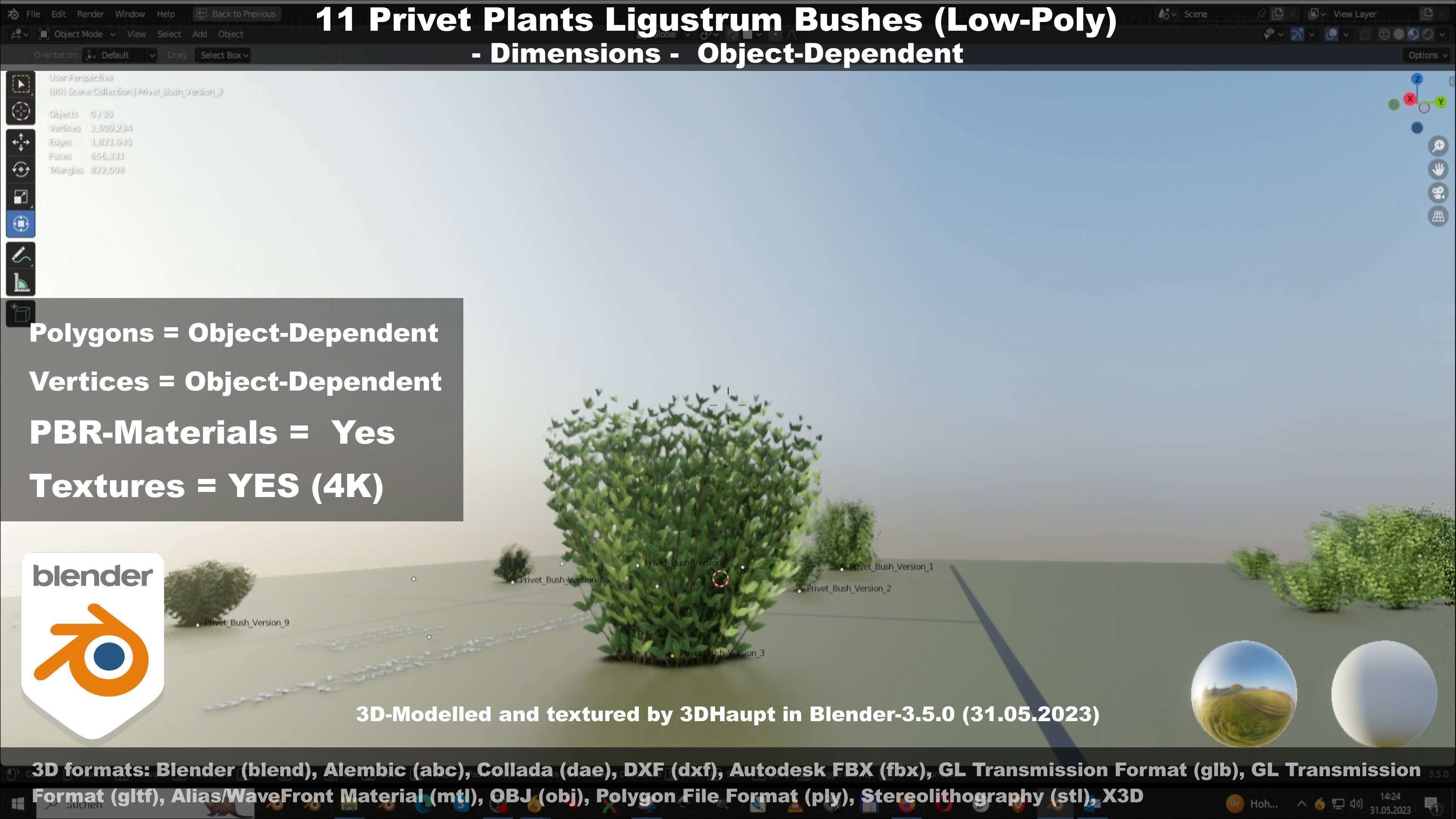 11 Privet Plants Ligustrum Low-poly 3D model_29