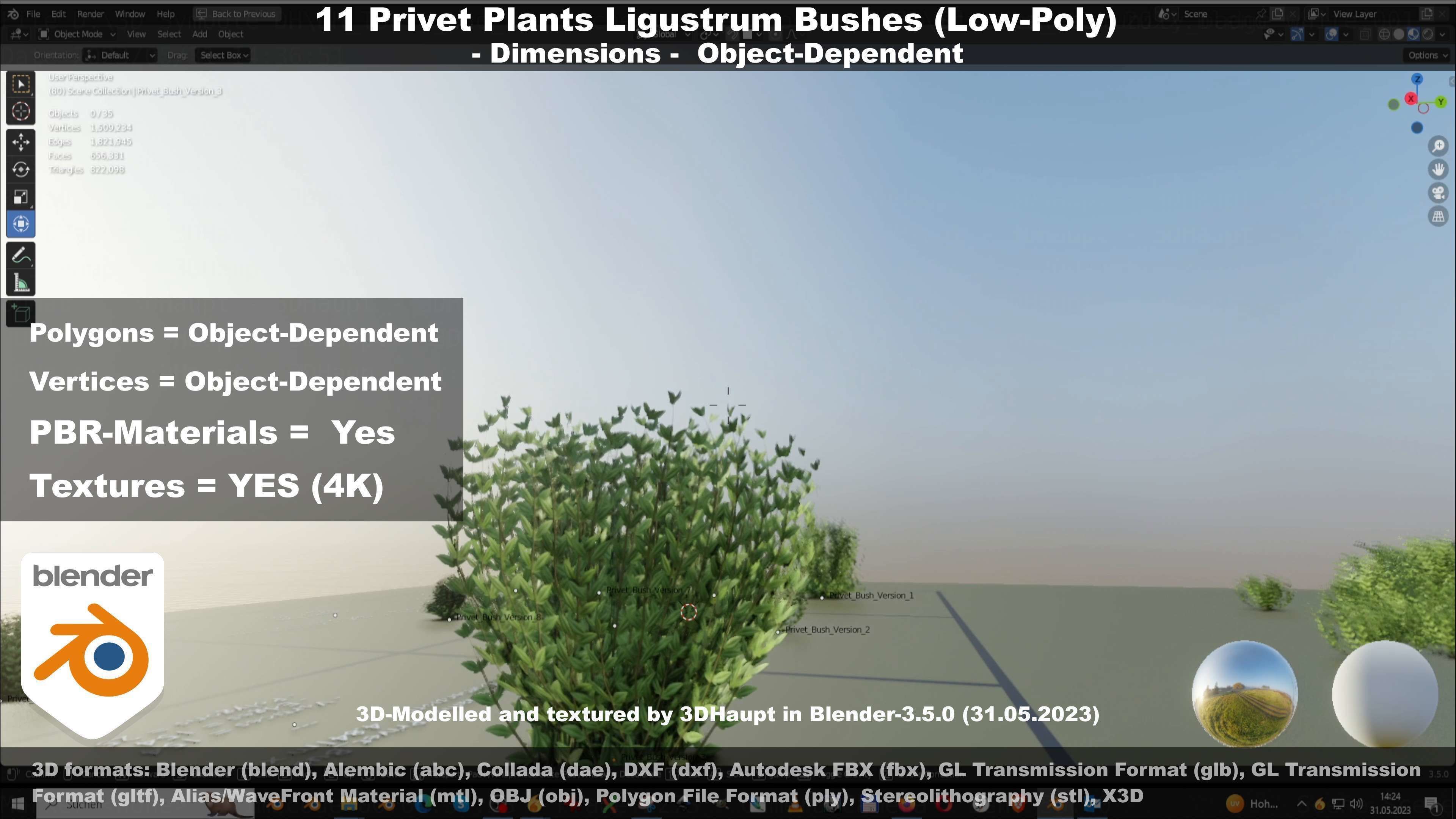 11 Privet Plants Ligustrum Low-poly 3D model_93