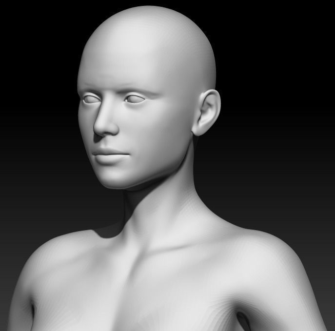 Female Base Mesh 10 3D model_5