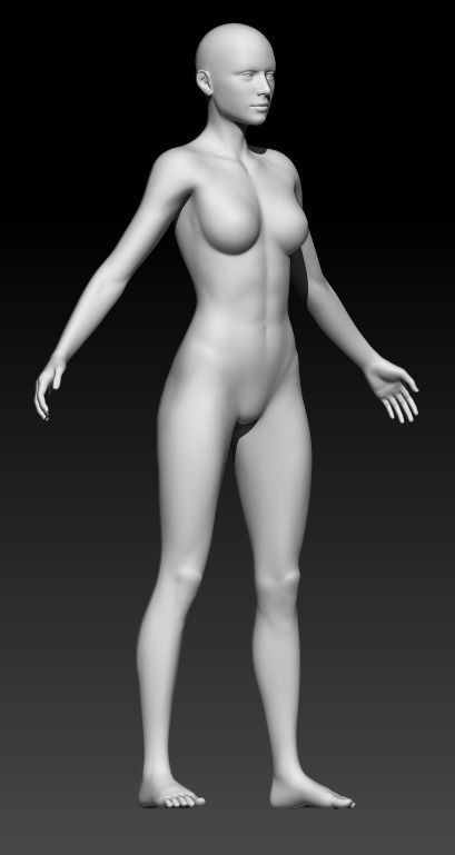 Female Base Mesh 10 3D model_4