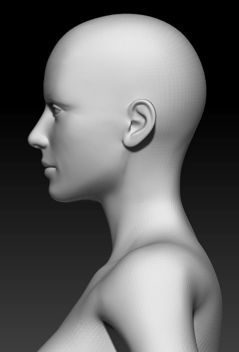 Female Base Mesh 10 3D model_6