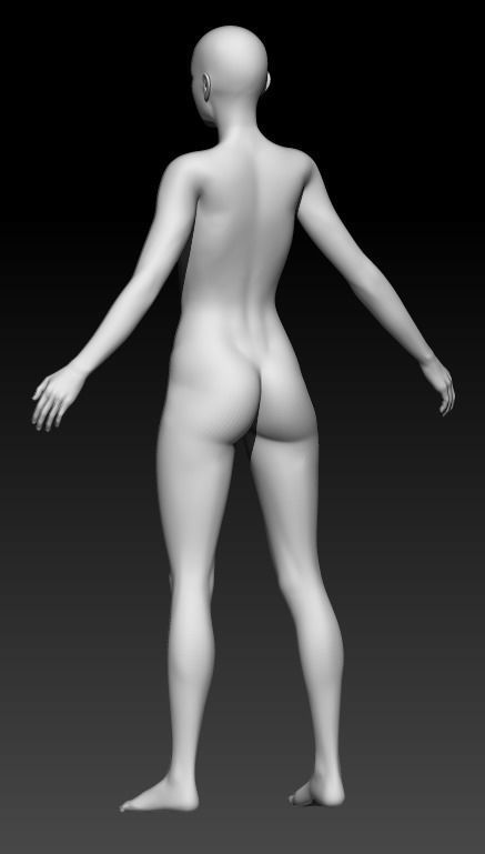 Female Base Mesh 10 3D model_3