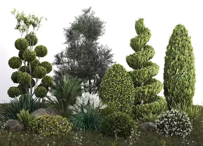 Group outdoor plants  Hedges 2