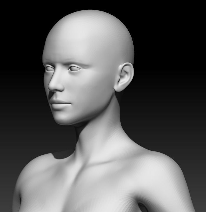 Female Base Mesh 11 3D model_5
