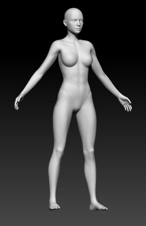 Female Base Mesh 11 3D model_4