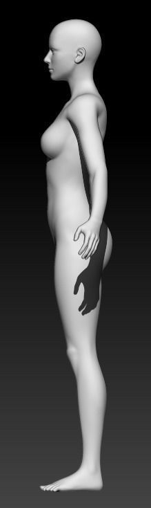 Female Base Mesh 11 3D model_2