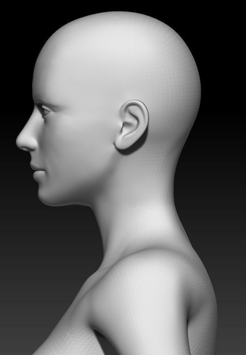 Female Base Mesh 11 3D model_6