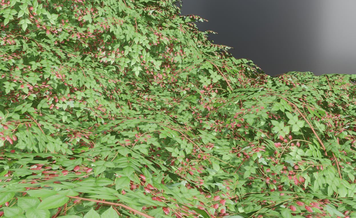 Privet Ligustrum - Rasberry - Blackberry Bushes and Hedges 3D Model Collection_57