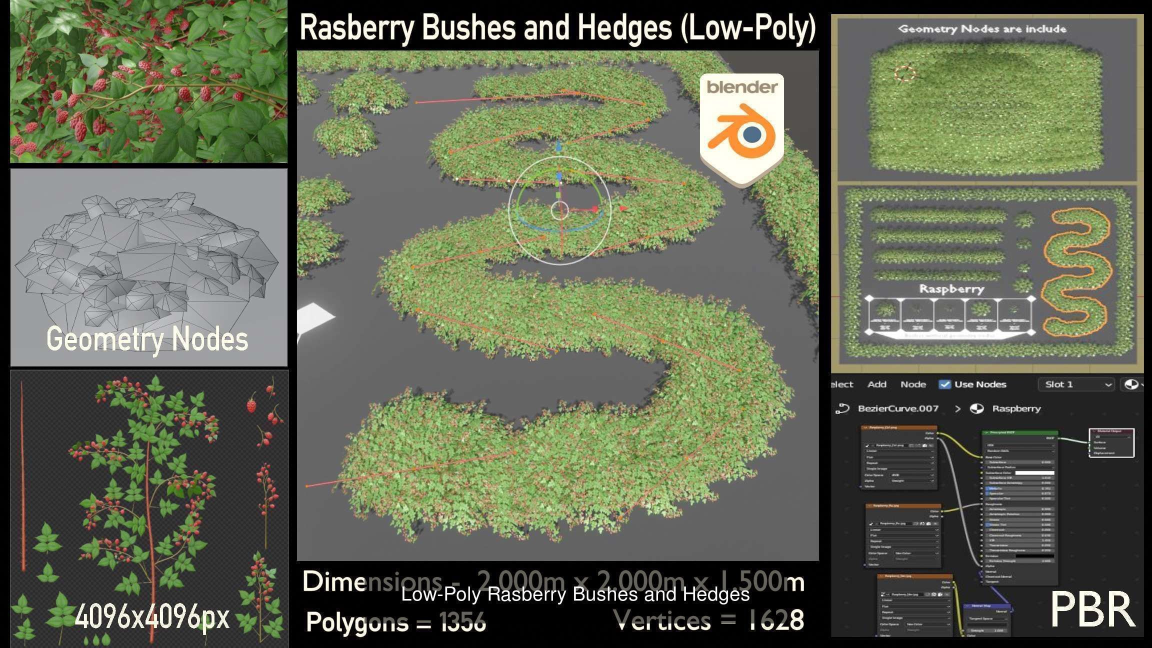 Privet Ligustrum - Rasberry - Blackberry Bushes and Hedges 3D Model Collection_2