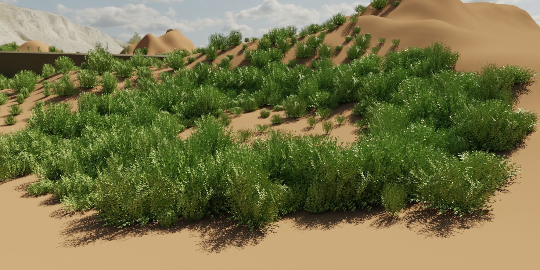 Privet Ligustrum - Rasberry - Blackberry Bushes and Hedges 3D Model Collection_20