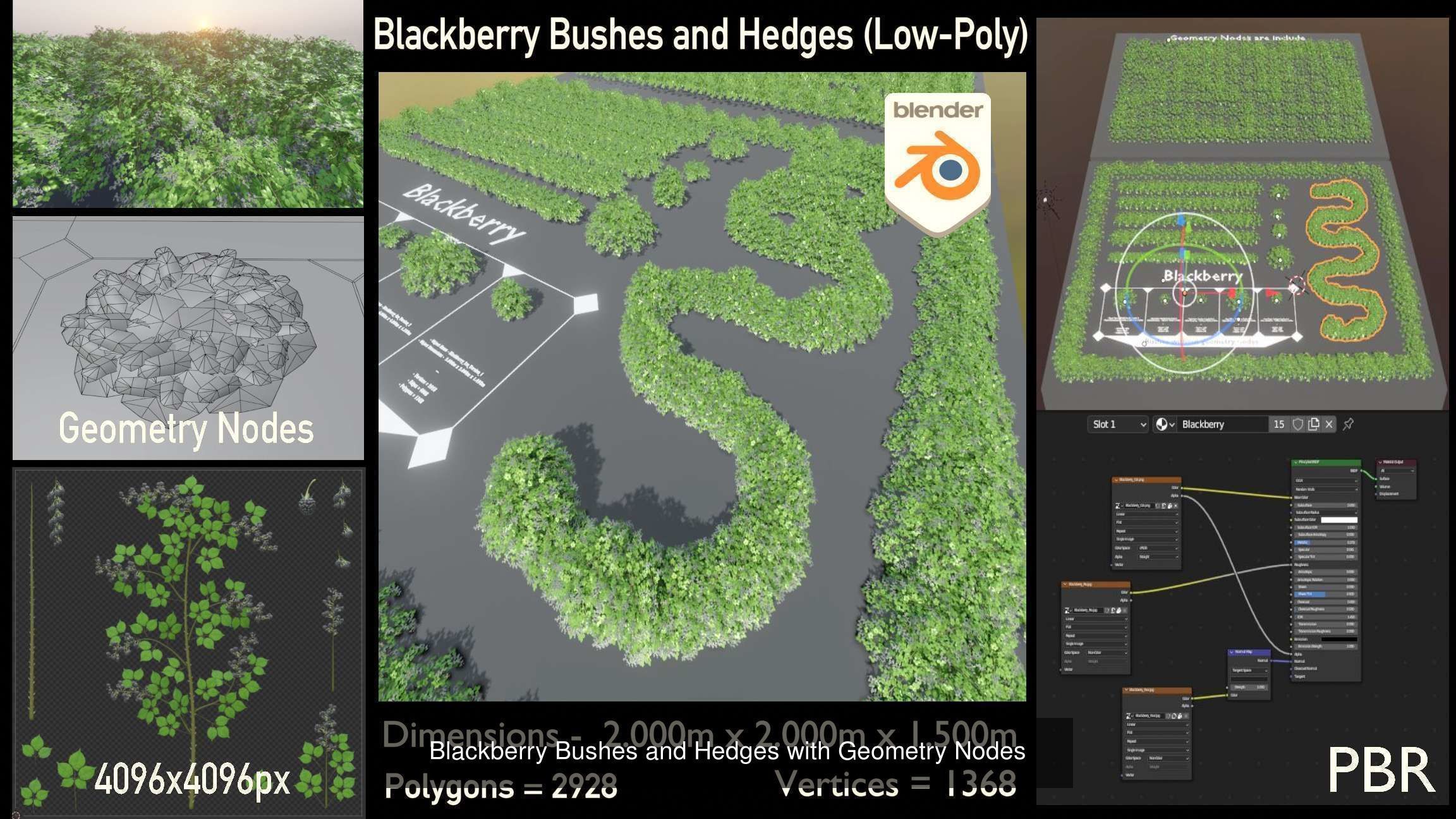 Privet Ligustrum - Rasberry - Blackberry Bushes and Hedges 3D Model Collection_1