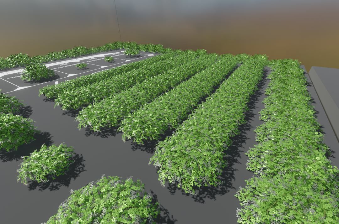 Privet Ligustrum - Rasberry - Blackberry Bushes and Hedges 3D Model Collection_26