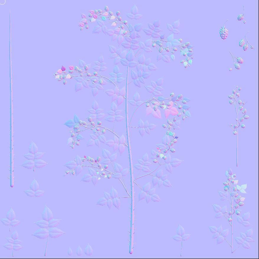 Privet Ligustrum - Rasberry - Blackberry Bushes and Hedges 3D Model Collection_50