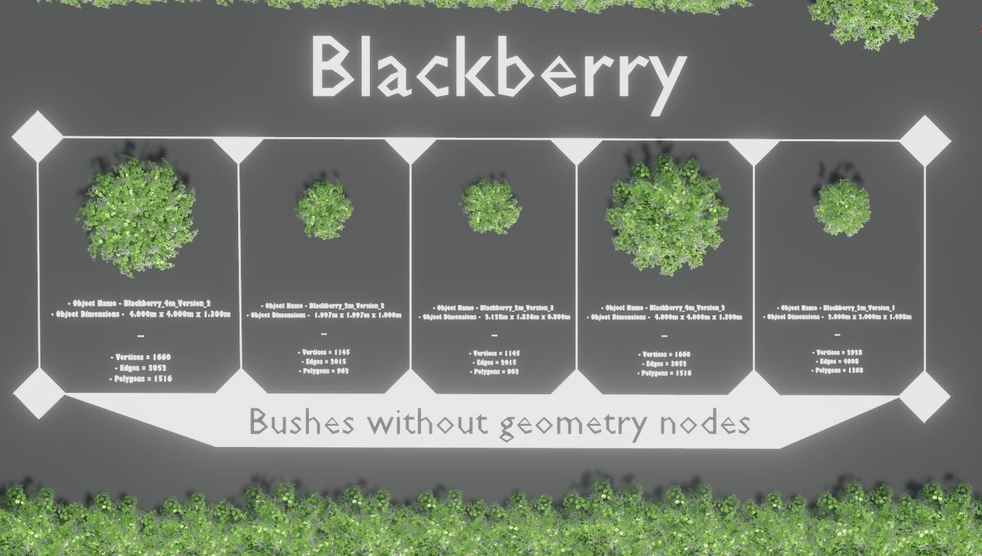 Privet Ligustrum - Rasberry - Blackberry Bushes and Hedges 3D Model Collection_27