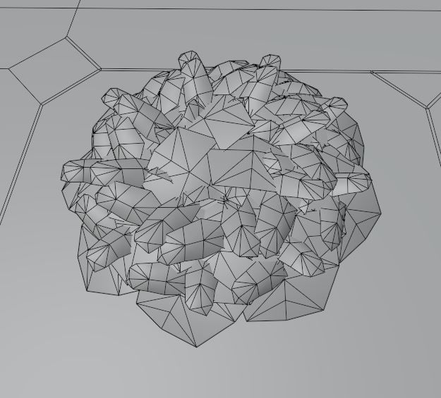Privet Ligustrum - Rasberry - Blackberry Bushes and Hedges 3D Model Collection_24