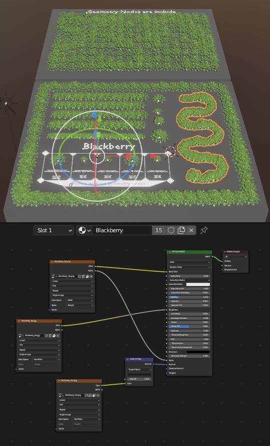 Privet Ligustrum - Rasberry - Blackberry Bushes and Hedges 3D Model Collection_29
